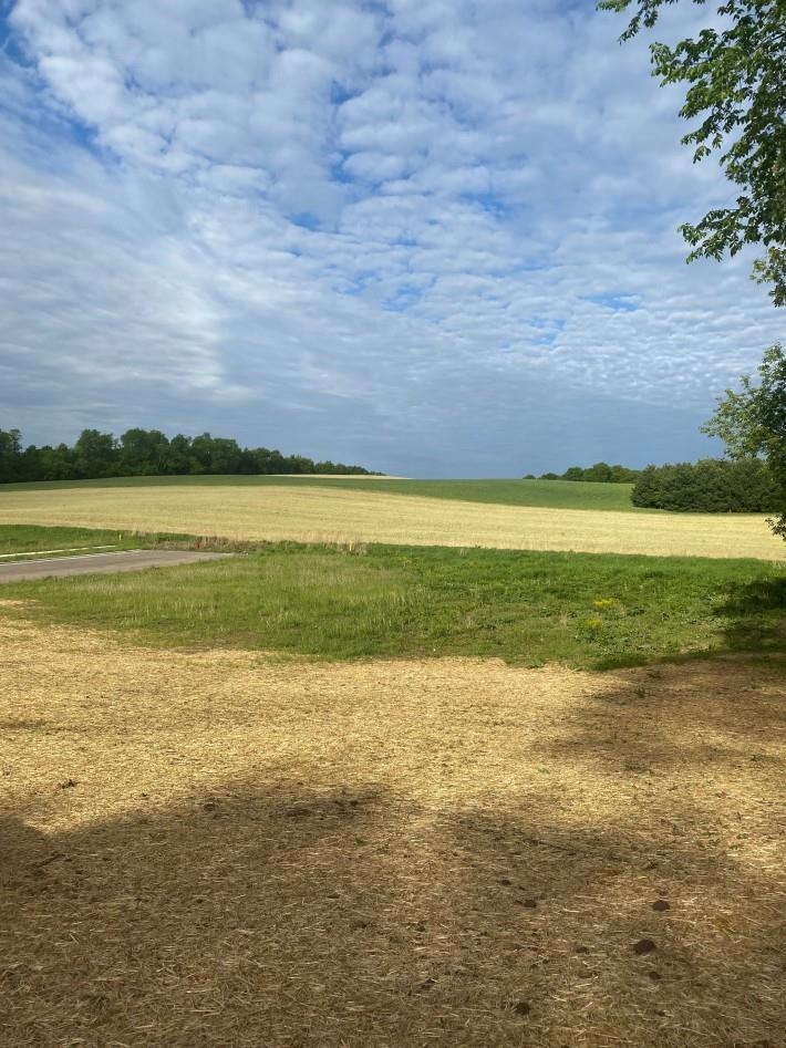 McGrady Madison Real Estate The McGrady Group