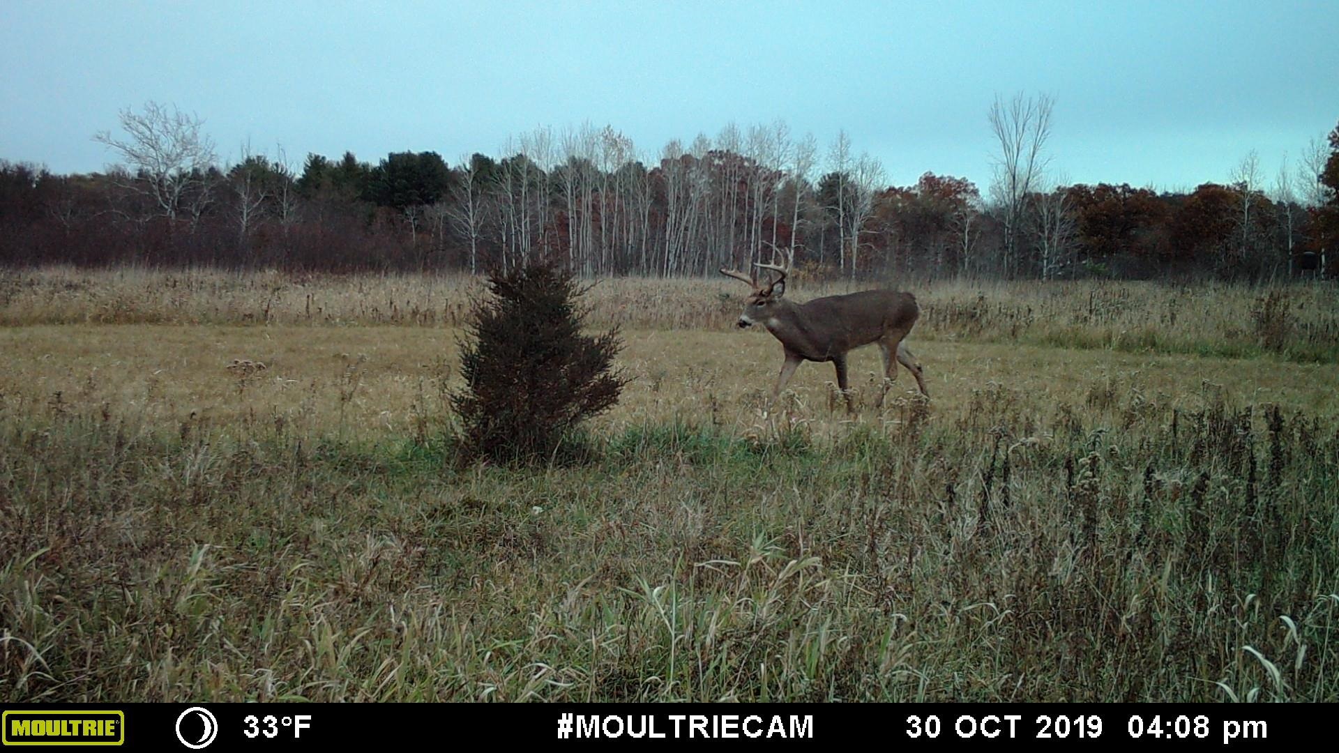 Land for sale in Reedsburg, Wisconsin, 1952836