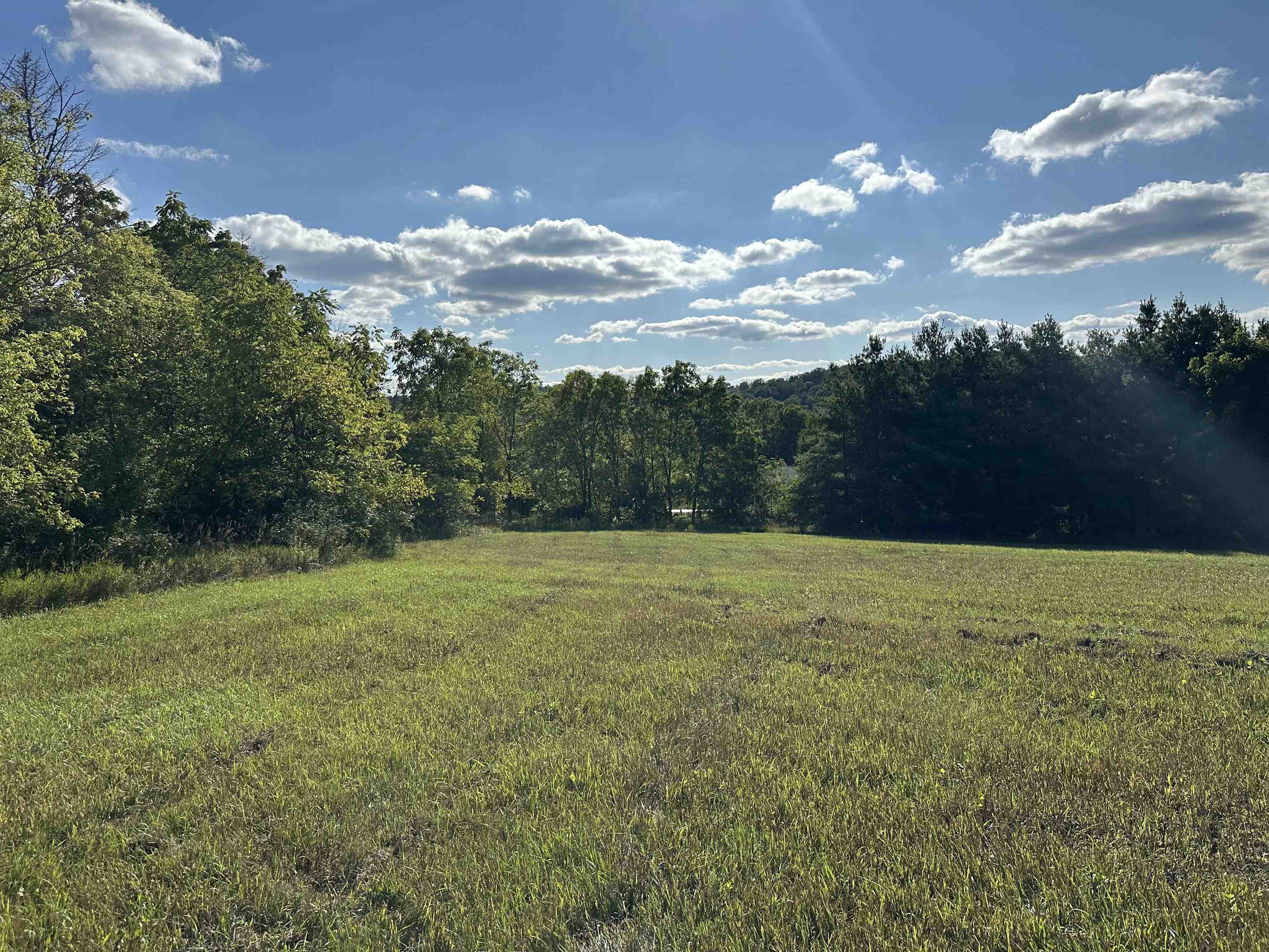 Bring your own builder to this private and partially wooded 1.89 acre lot at the end of a cul de sac.  The rolling hills and quiet of the Driftless region are on beautiful display on this picturesque lot.  Walk down the hill into Mount Vernon, or drive 10 minutes to Verona/Epic, or 20 minutes to downtown Madison.  The gentle slope of the lot allows for significant lower level exposure.