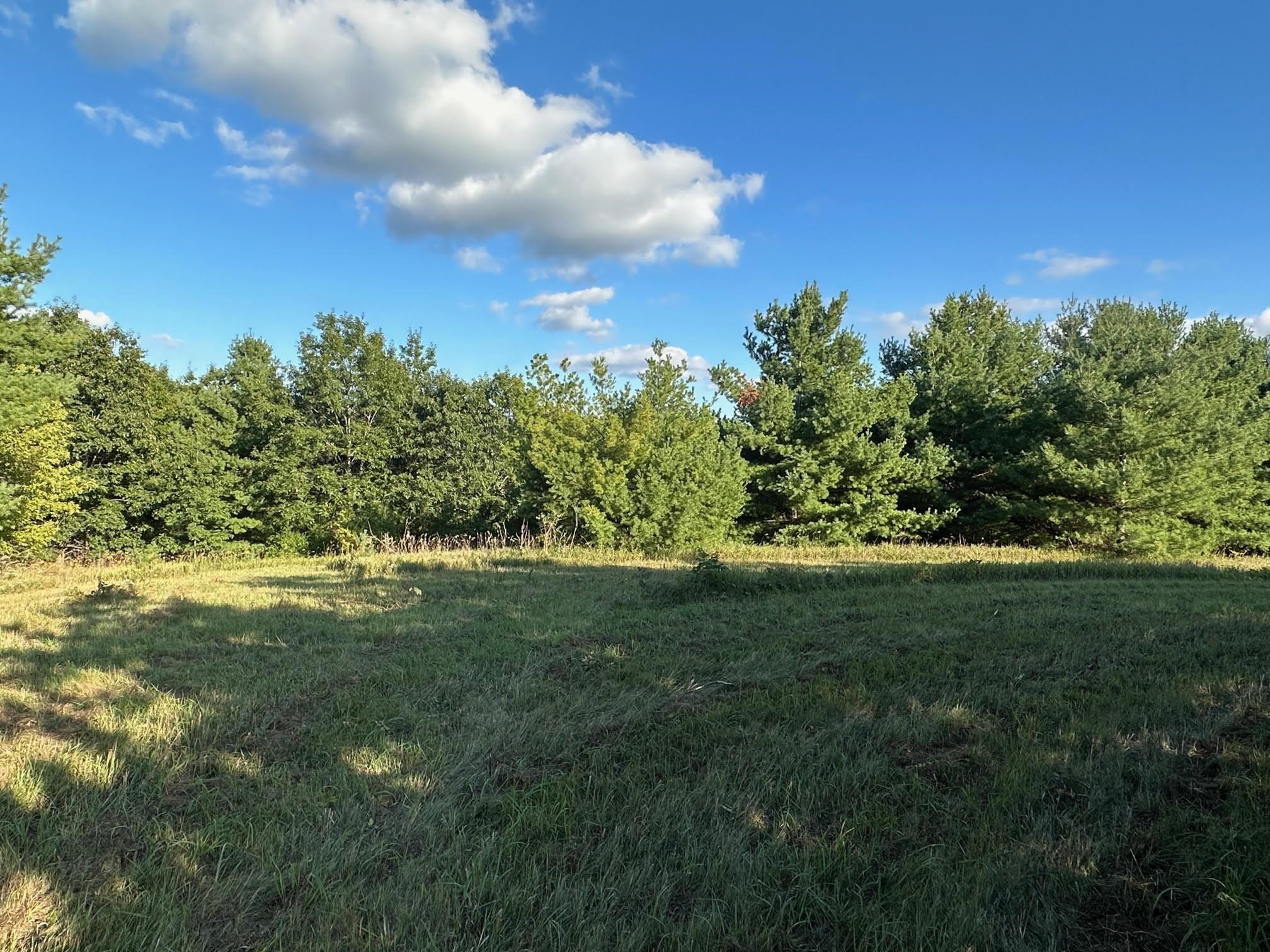 Bring your own builder to this private and wooded 1.99 acre lot at the end of a cul de sac.  The rolling hills and quiet of the Driftless region are on beautiful display on this picturesque lot.  Walk down the hill into Mount Vernon, or drive 10 minutes to Verona/Epic, or 20 minutes to downtown Madison.  The gentle slope of the lot allows for significant lower level exposure.