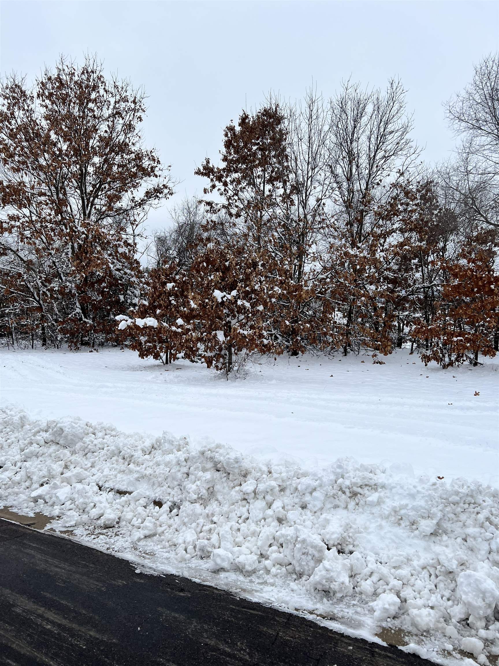 Land for sale in Boscobel, Wisconsin, 1969405