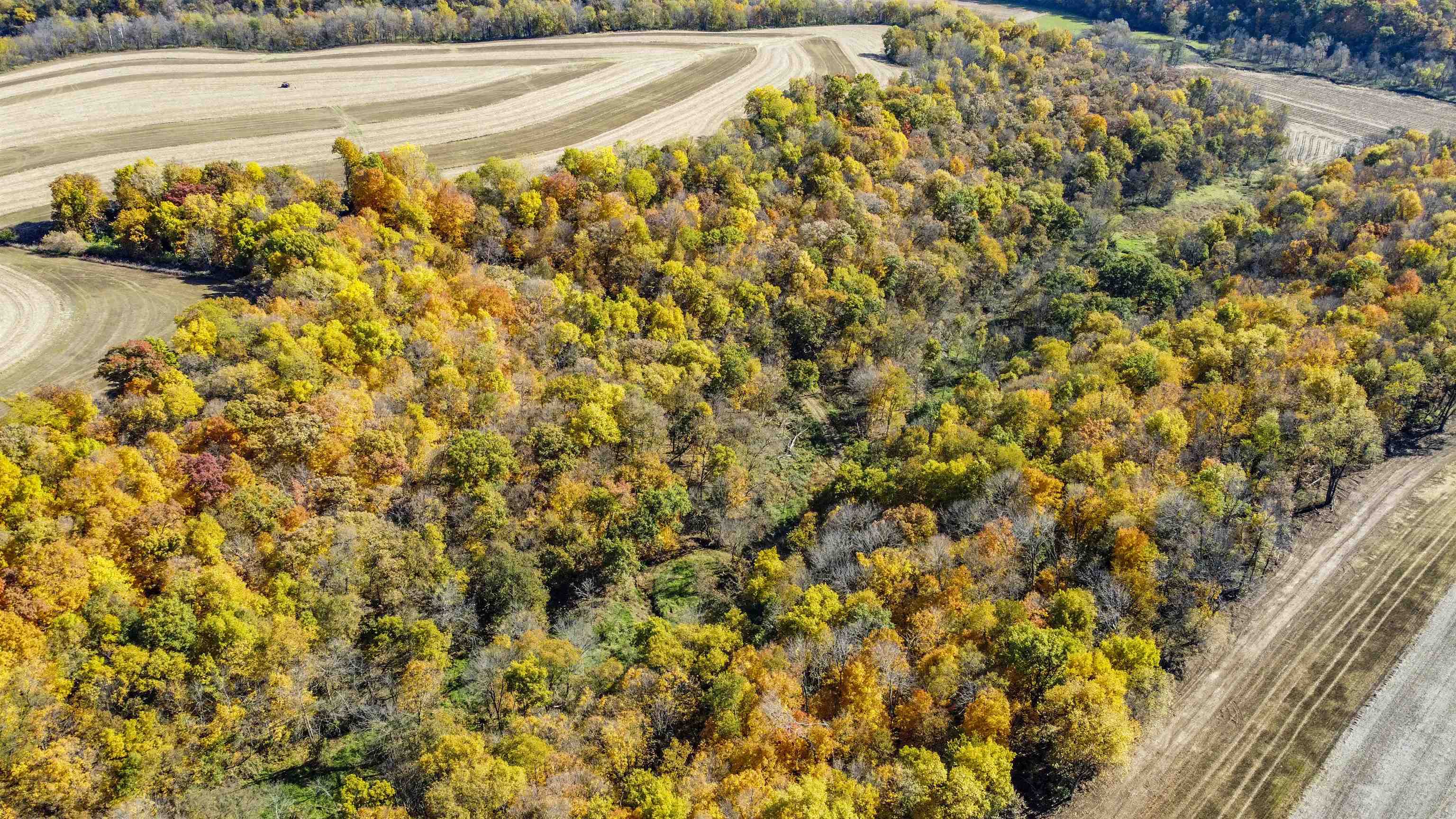 Land for sale in Beetown, Wisconsin, 1972220