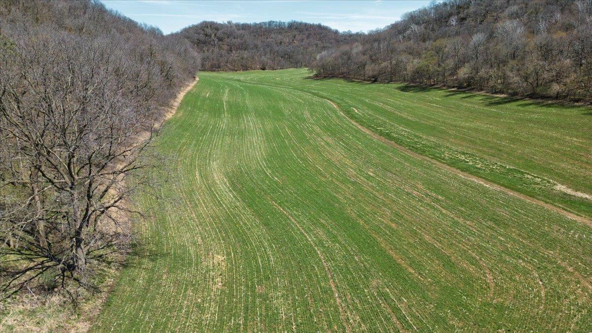Rare opportunity to own 258 acres at the end of a quiet dead-end road. Featuring 71 tillable acres (leased to a local farmer) and 187 acres of mature woods with red/white oaks, hickory, and black walnut - untouched by logging for ~40 years. Explore miles of trails across three secluded valleys, perfect for hunting, hiking, and recreation. Abundant wildlife including deer (with long term QDM in place), turkeys, and many more. Several ideal locations are ideal for private, scenic home sites on the property. Located in the fertile Wisconsin River Valley, just one mile north of the river and less than 40 minutes from Madison. A peaceful retreat with income potential and natural beauty.