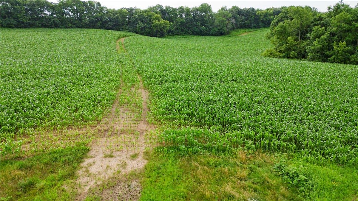 Rare opportunity to build your dream home on 13.34 acres at the end of an exclusive luxury cul-de-sac, just minutes from Middleton and Cross Plains in the highly sought-after Middleton School District. This secluded hilltop sanctuary offers exceptional privacy, with tree-lined borders and no visible neighbors from most potential building sites. Rolling terrain provides multiple ideal options for home placement, all suited for lower-level exposure and sweeping views. With no builder restrictions , you can bring your own builder and create the custom retreat you’ve been envisioning—on your own terms and timeline. A peaceful, private setting just minutes from town—luxury living meets natural beauty.