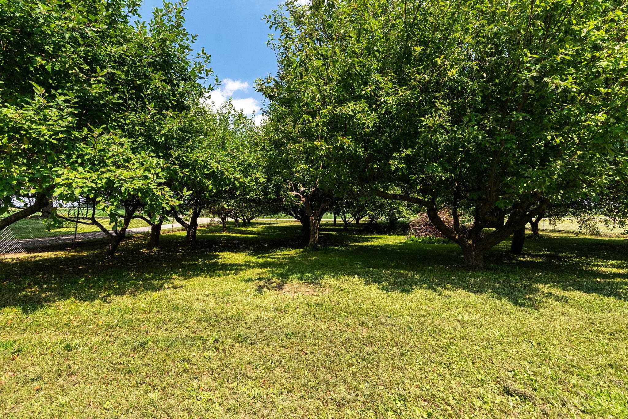 9927 W Stebbinsville Road