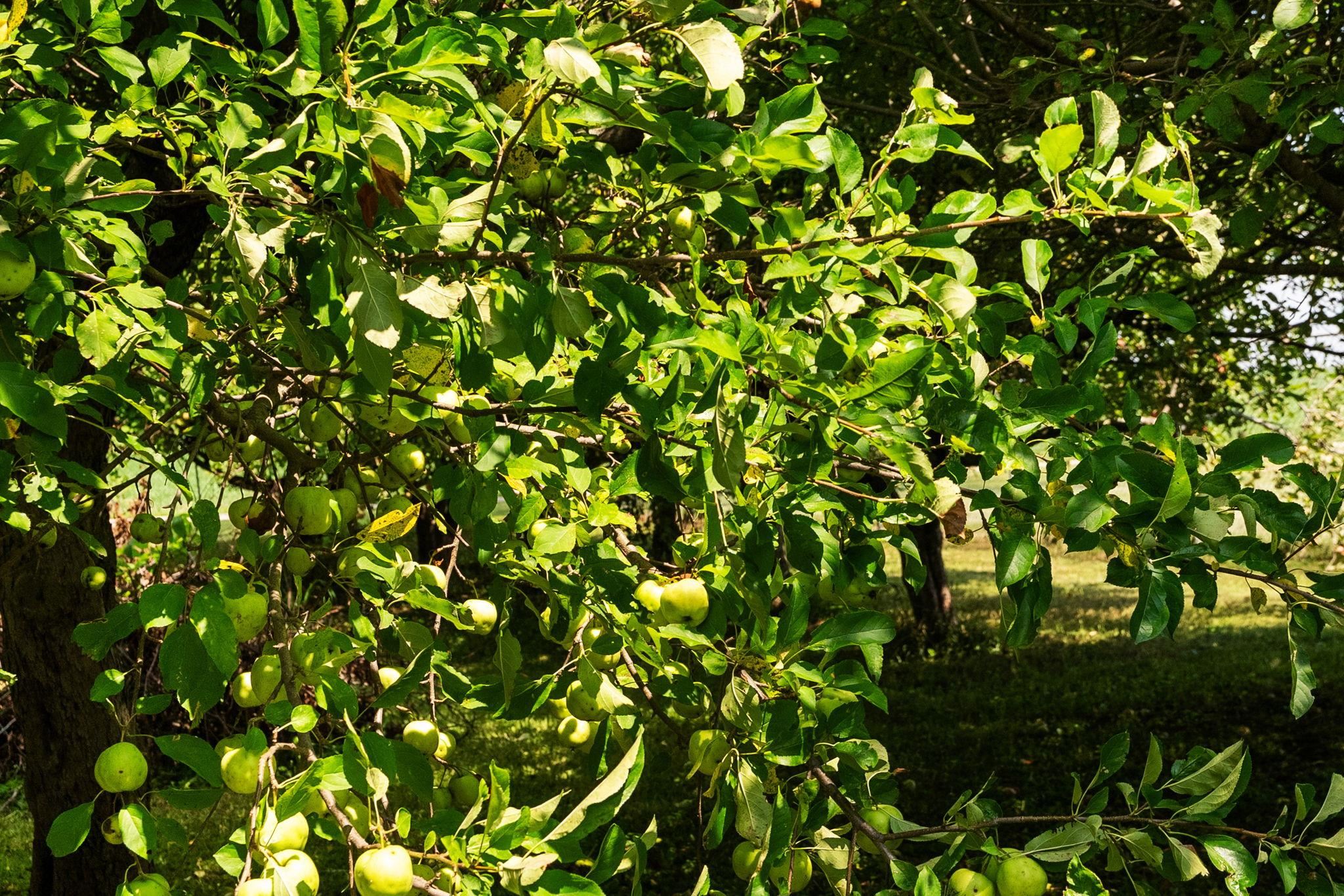 9927 W Stebbinsville Road