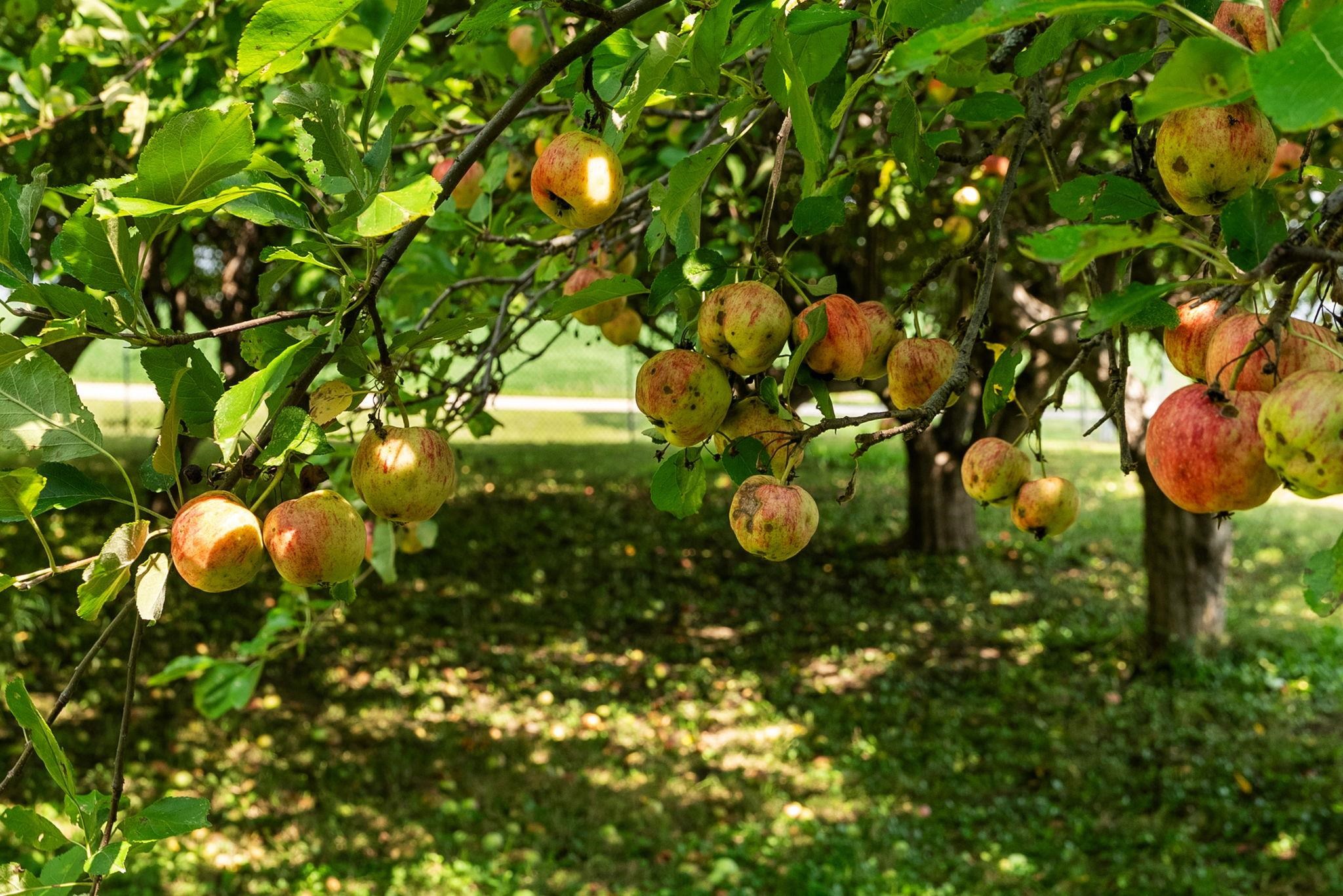 9927 W Stebbinsville Road