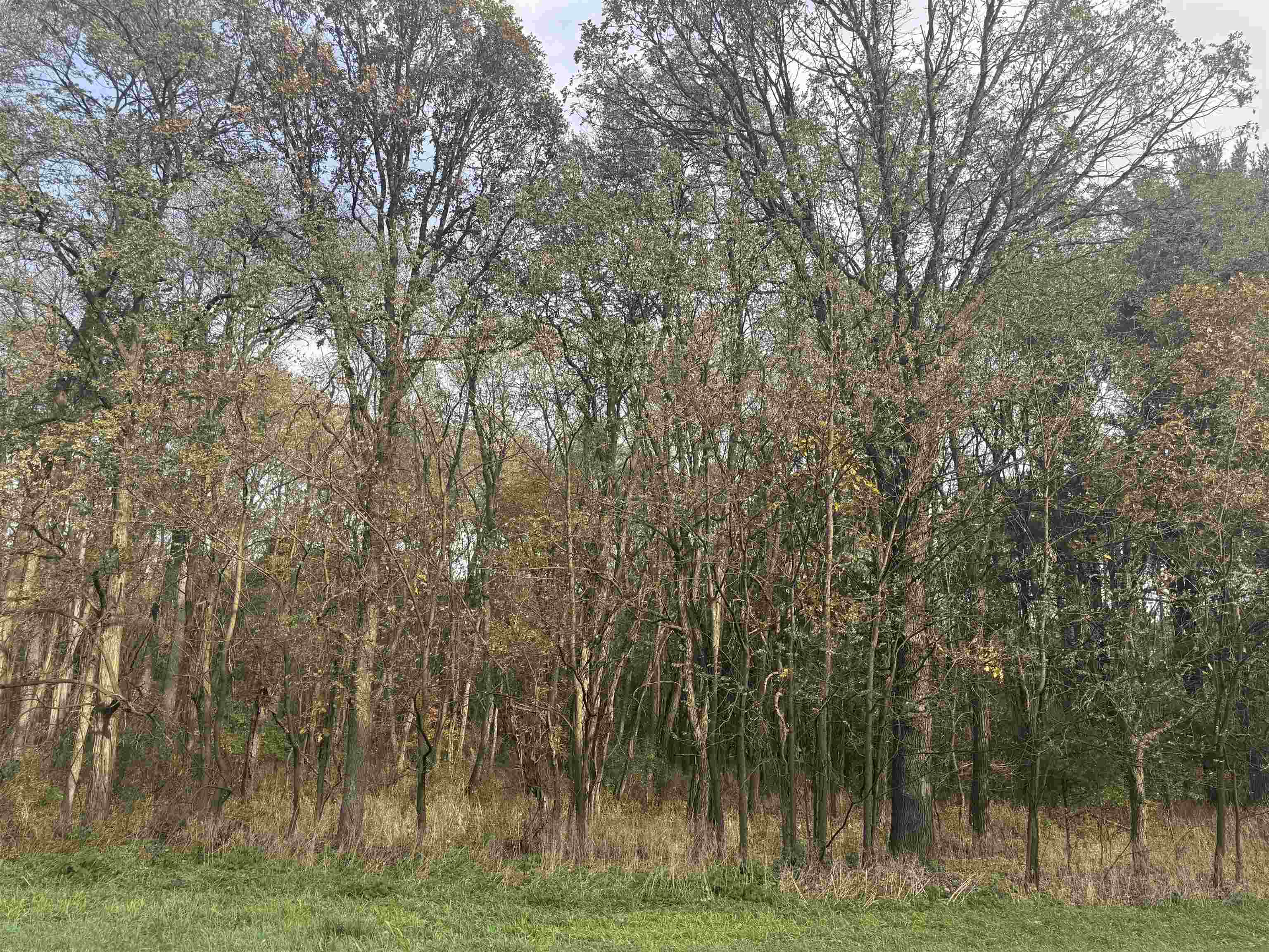 25.51 Ac County Road A