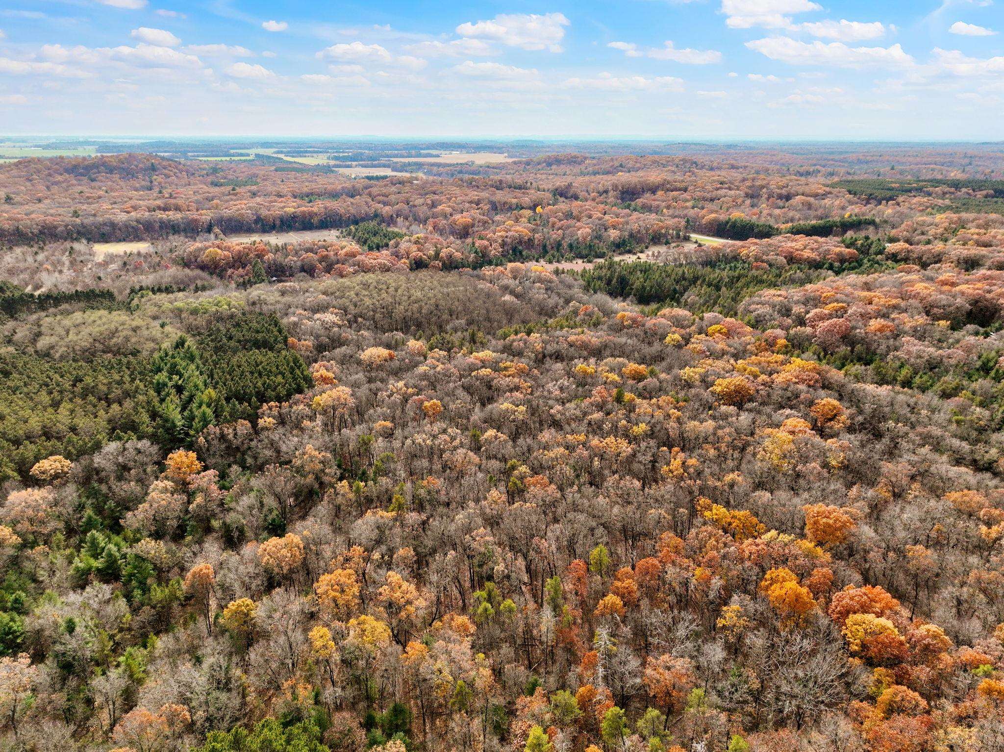 25.51 Ac County Road A