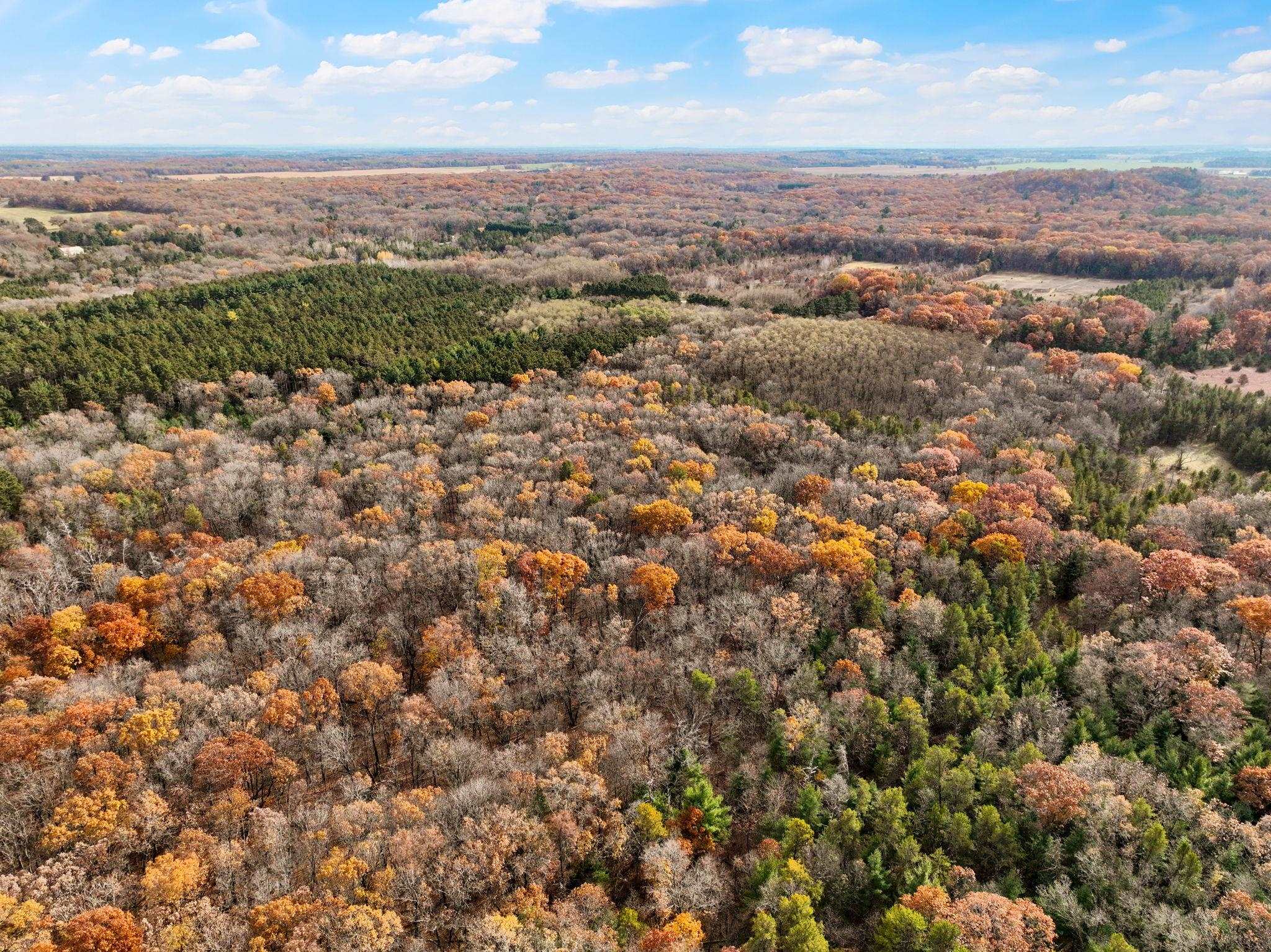 25.51 Ac County Road A