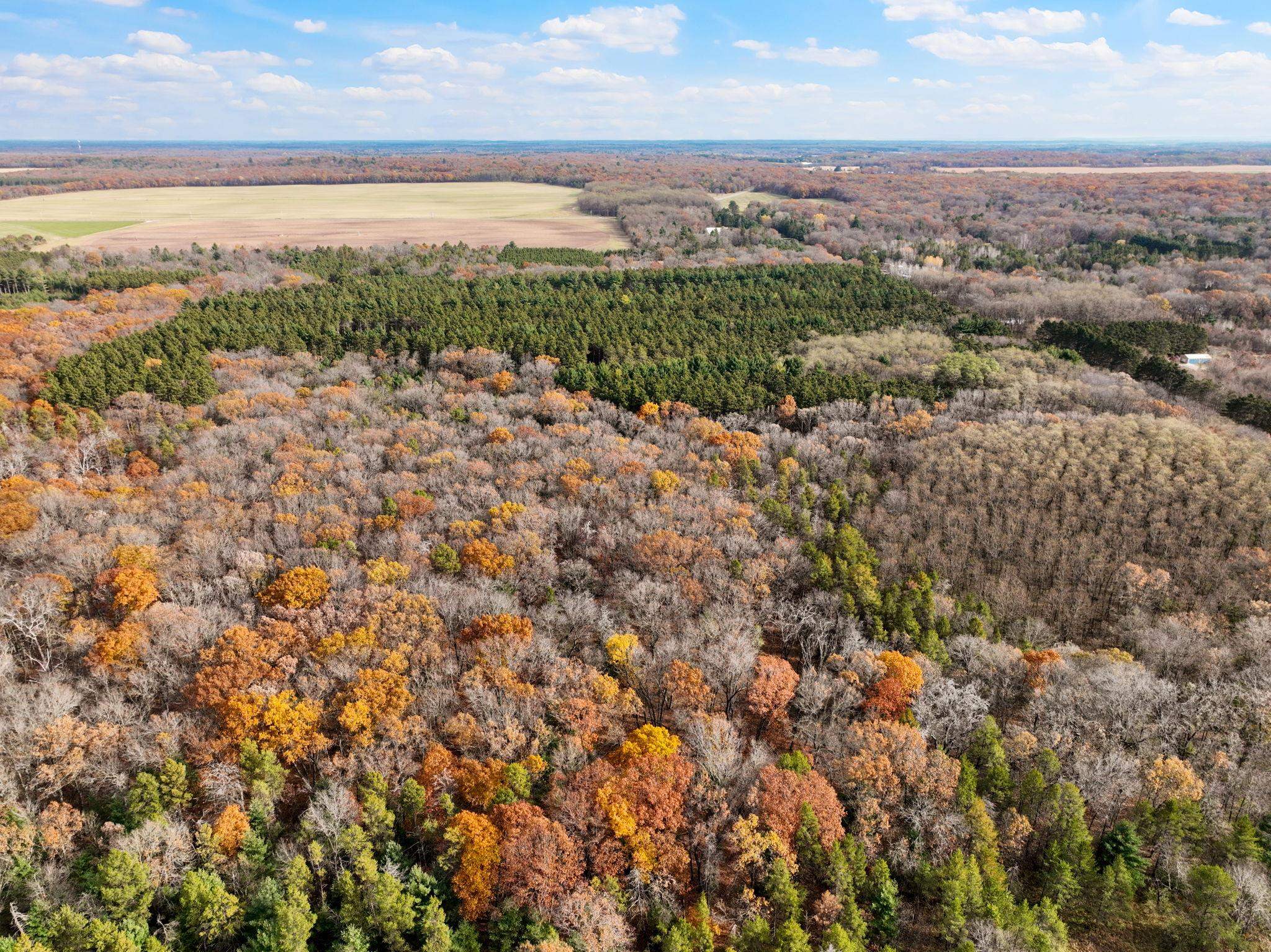 25.51 Ac County Road A