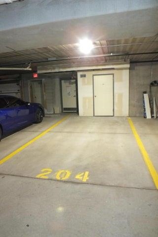 8206 Starr Grass Drive 204