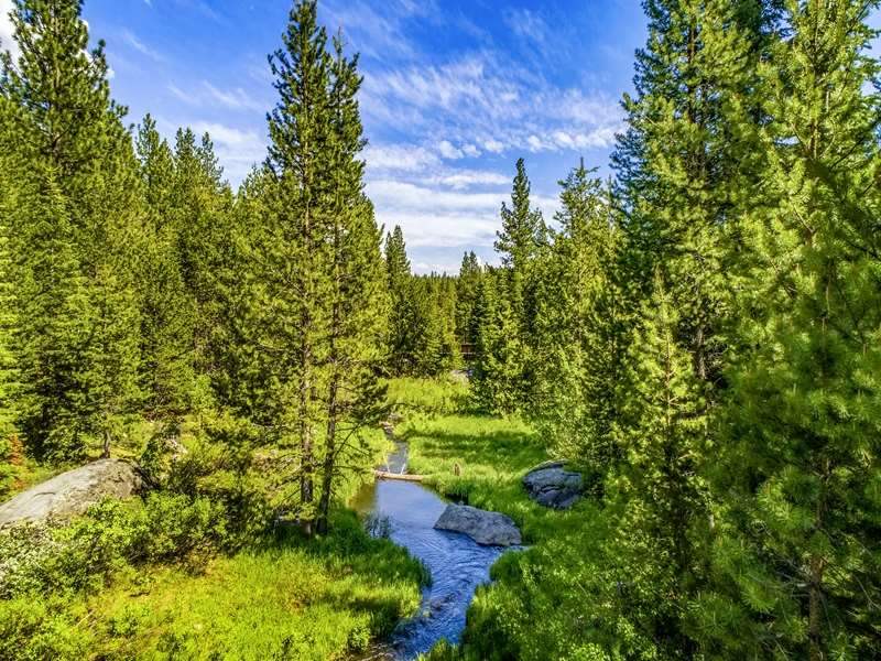 11552 Euer Valley Road Truckee CA 20201027 South Lake Tahoe Real