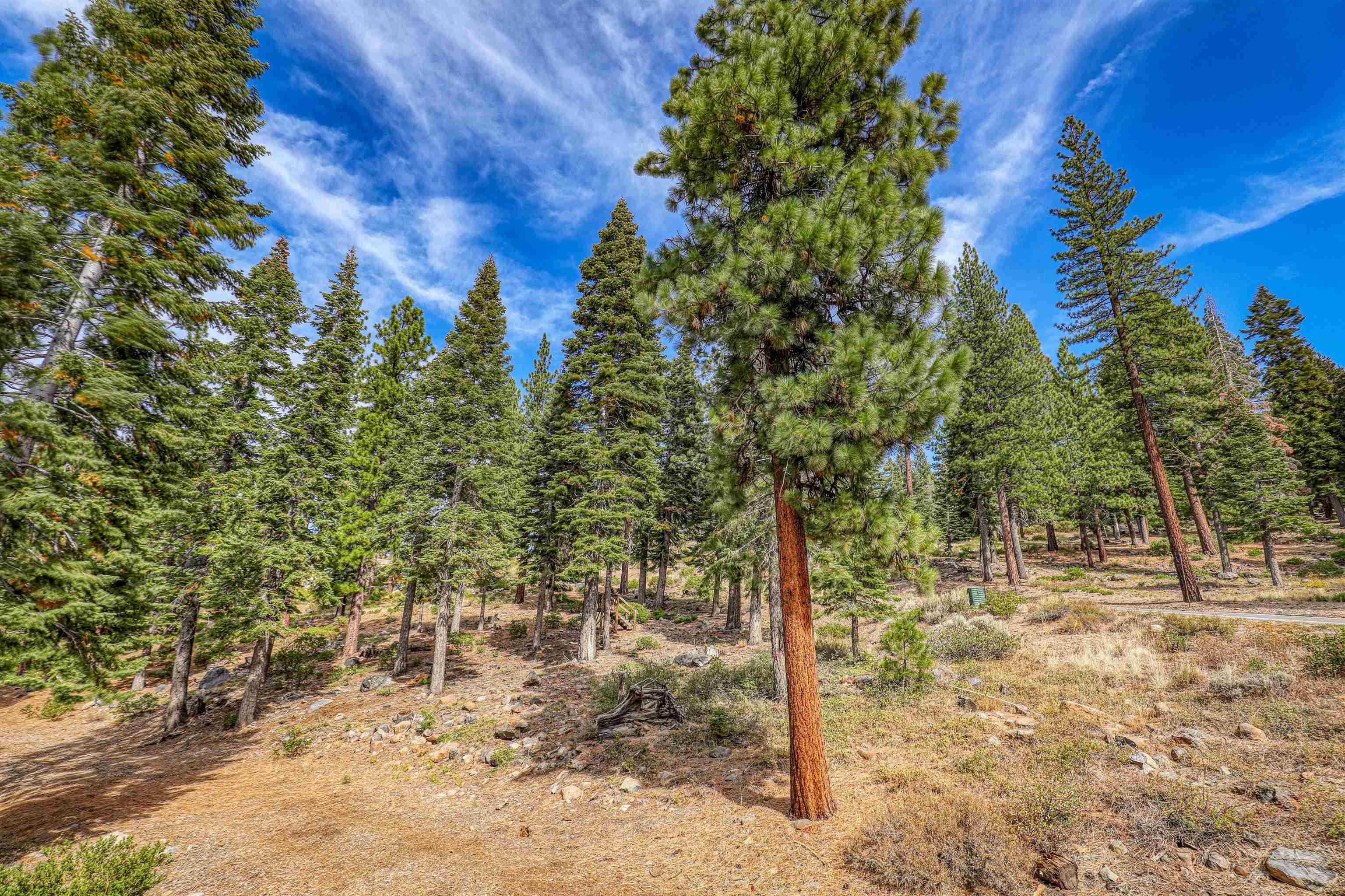 2645 Mill Site Road, Truckee, CA 96161