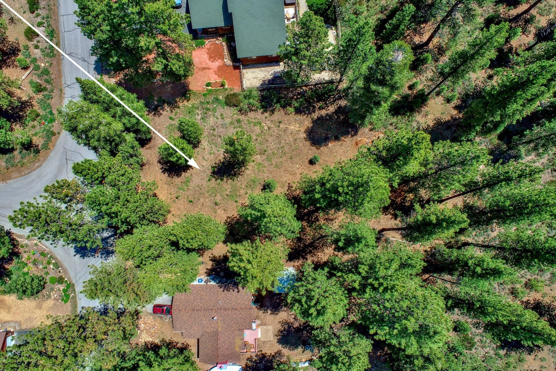 MLS #20230148 image #7