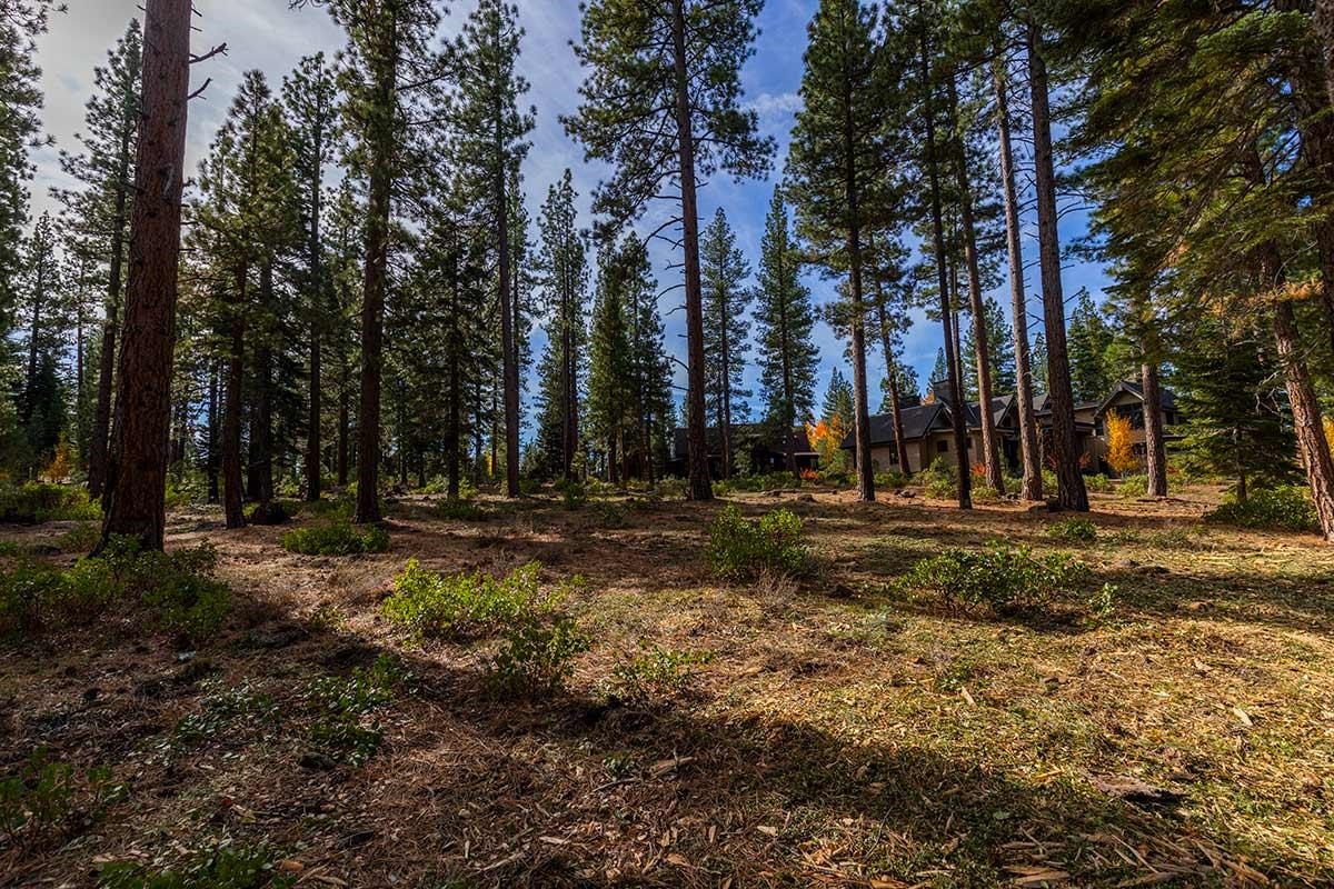 MLS #20230355 image #2