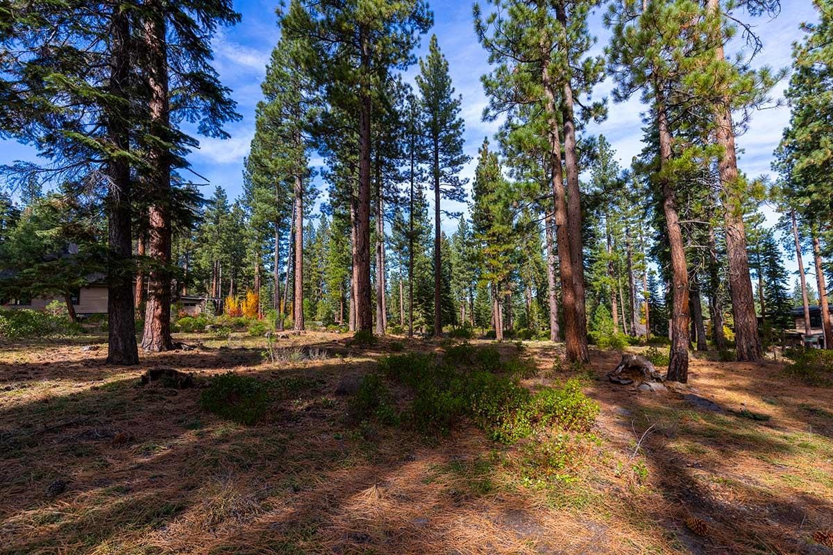 MLS #20230355 image #3