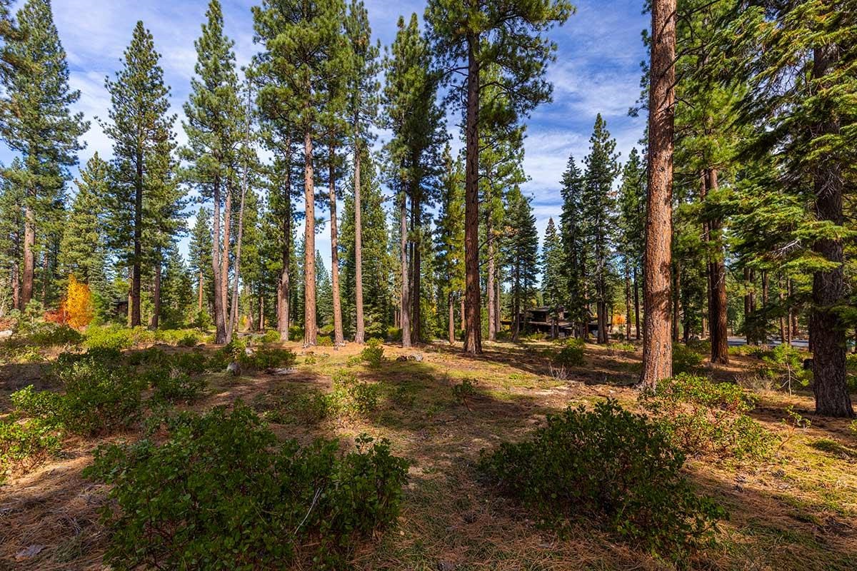 MLS #20230355 image #4