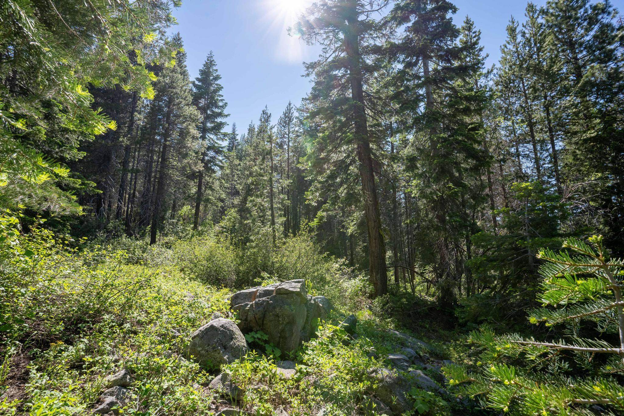 MLS #20231323 image #2