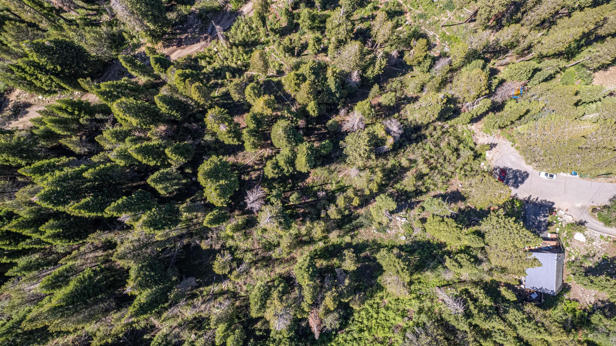 MLS #20231323 image #3