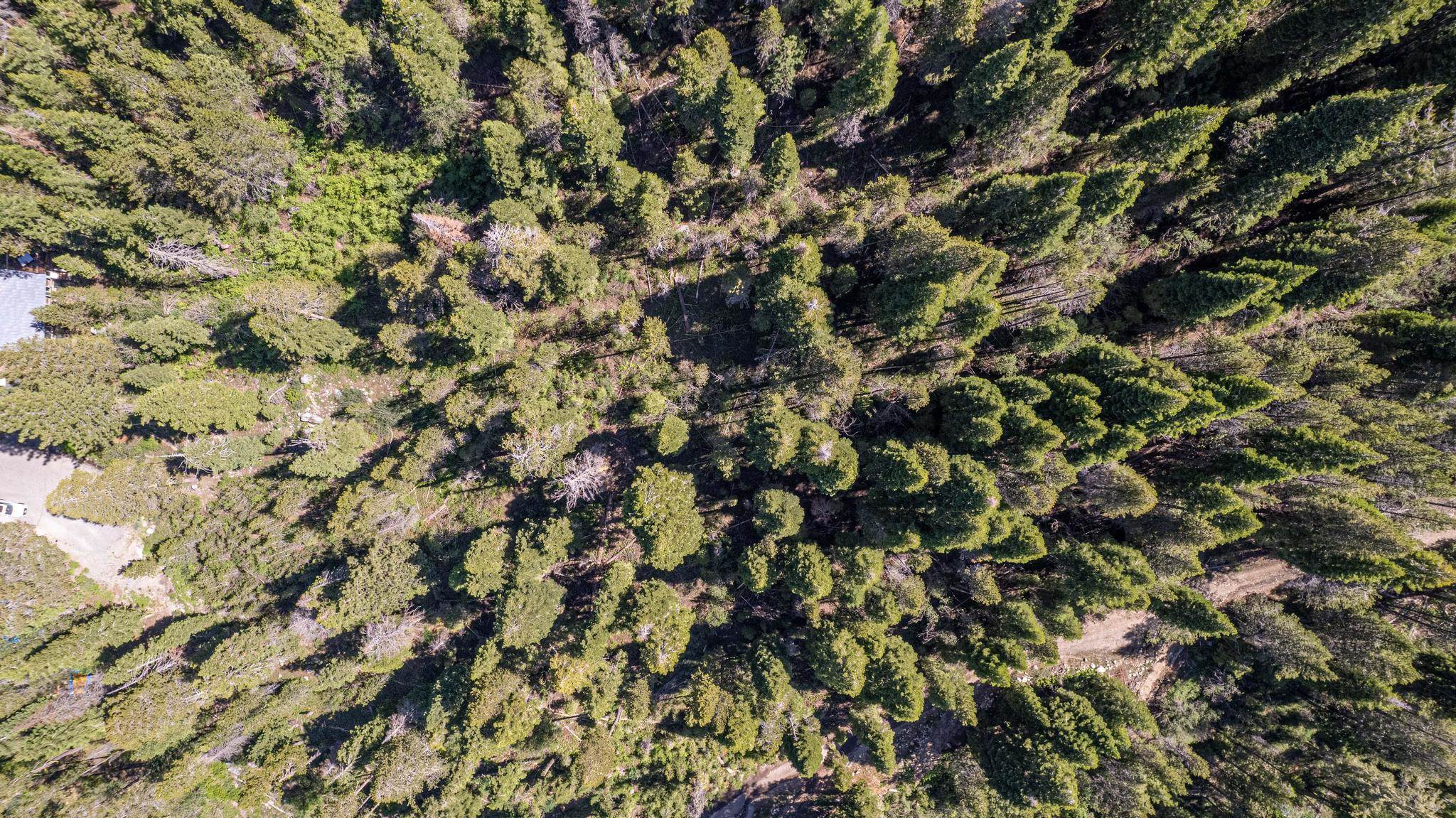 MLS #20231323 image #5