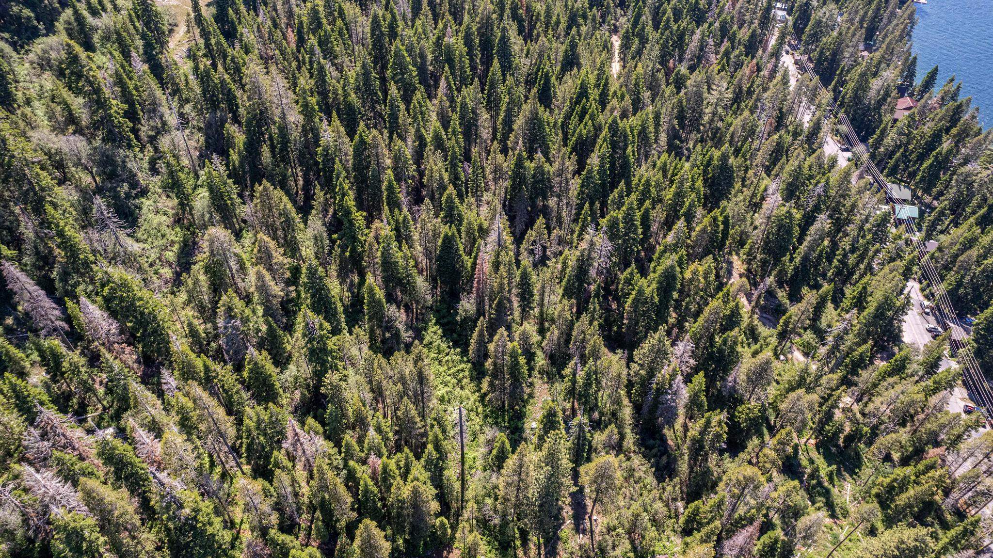 MLS #20231323 image #9