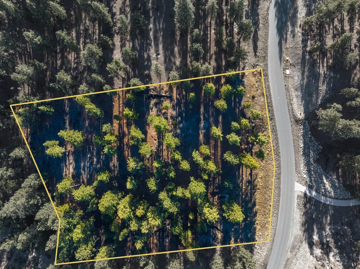 MLS #20240101 image #1