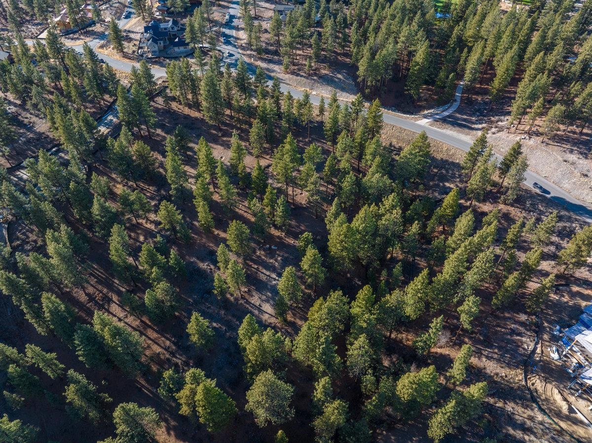 MLS #20240101 image #11