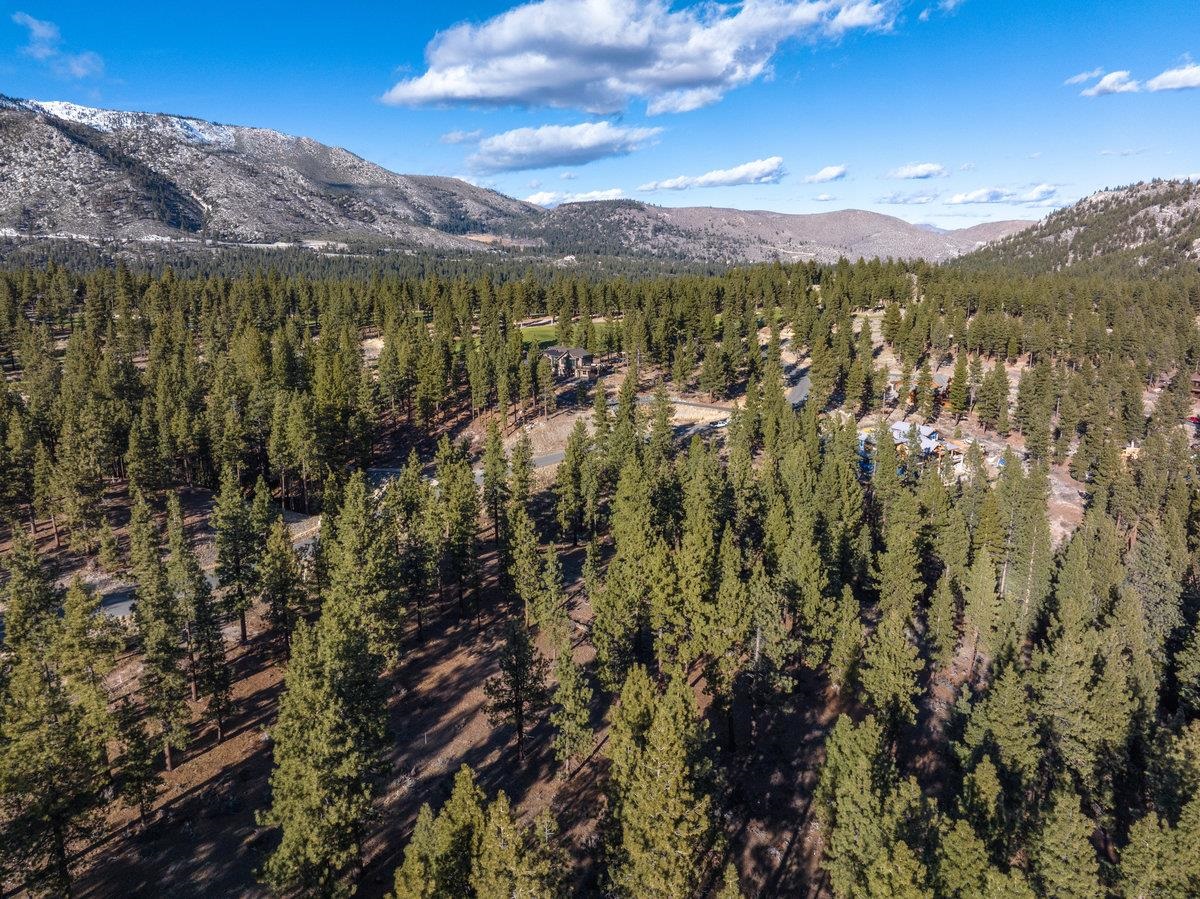 MLS #20240101 image #12