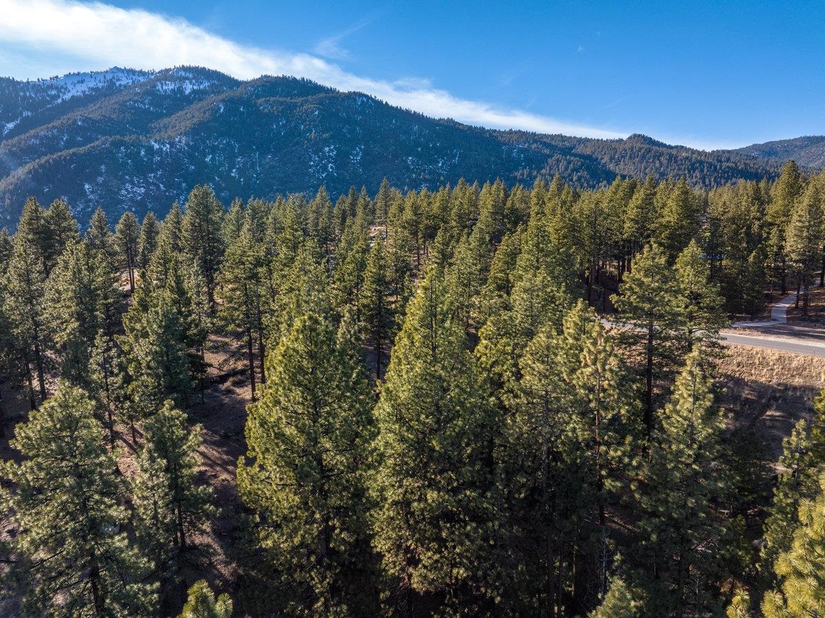 MLS #20240101 image #13