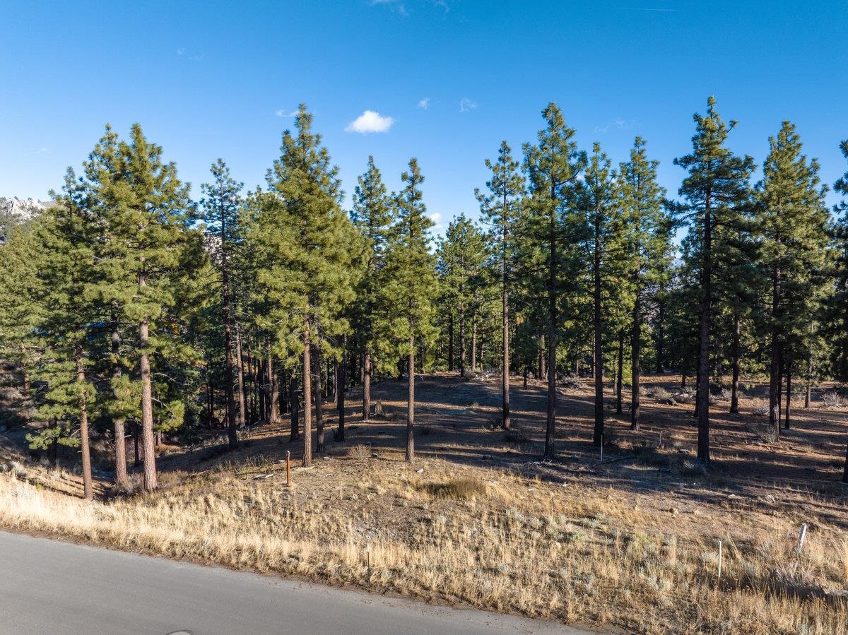 MLS #20240101 image #16