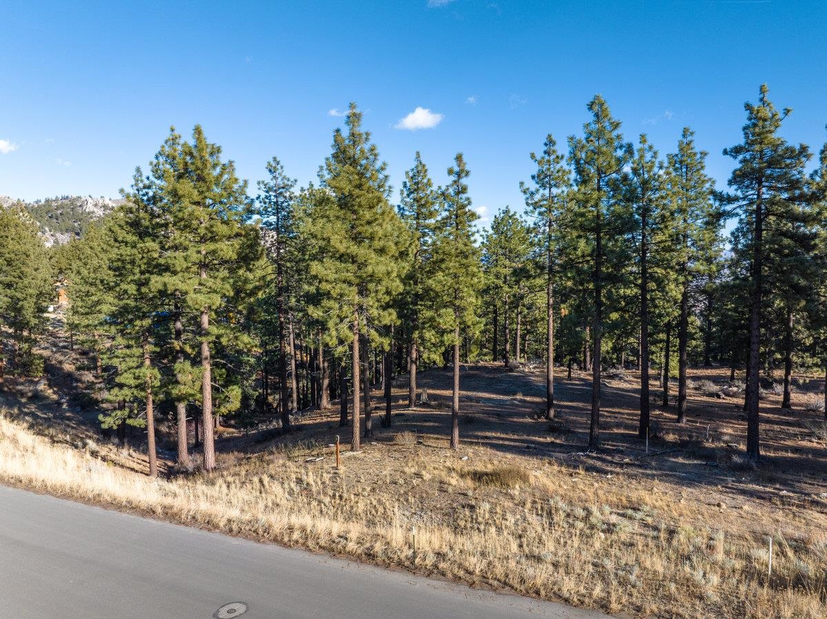 MLS #20240101 image #17