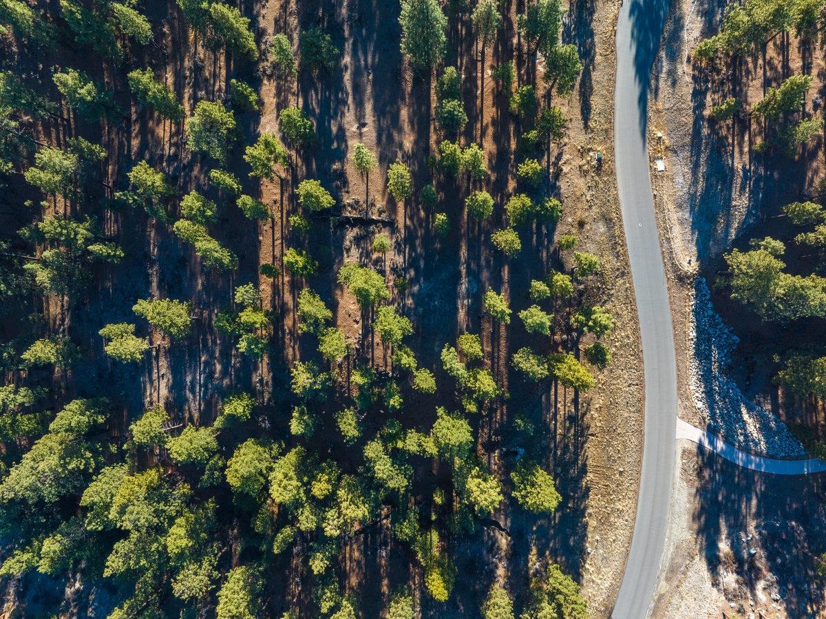 MLS #20240101 image #2