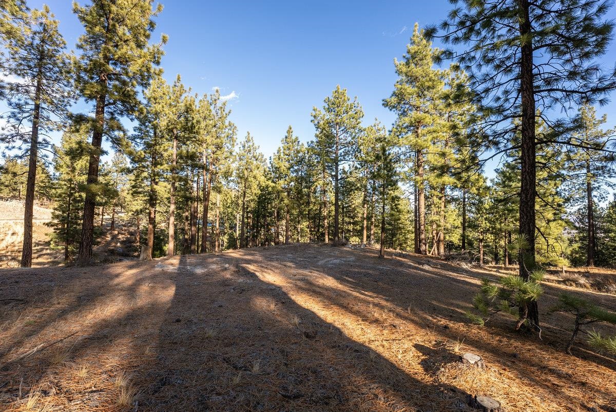 MLS #20240101 image #20