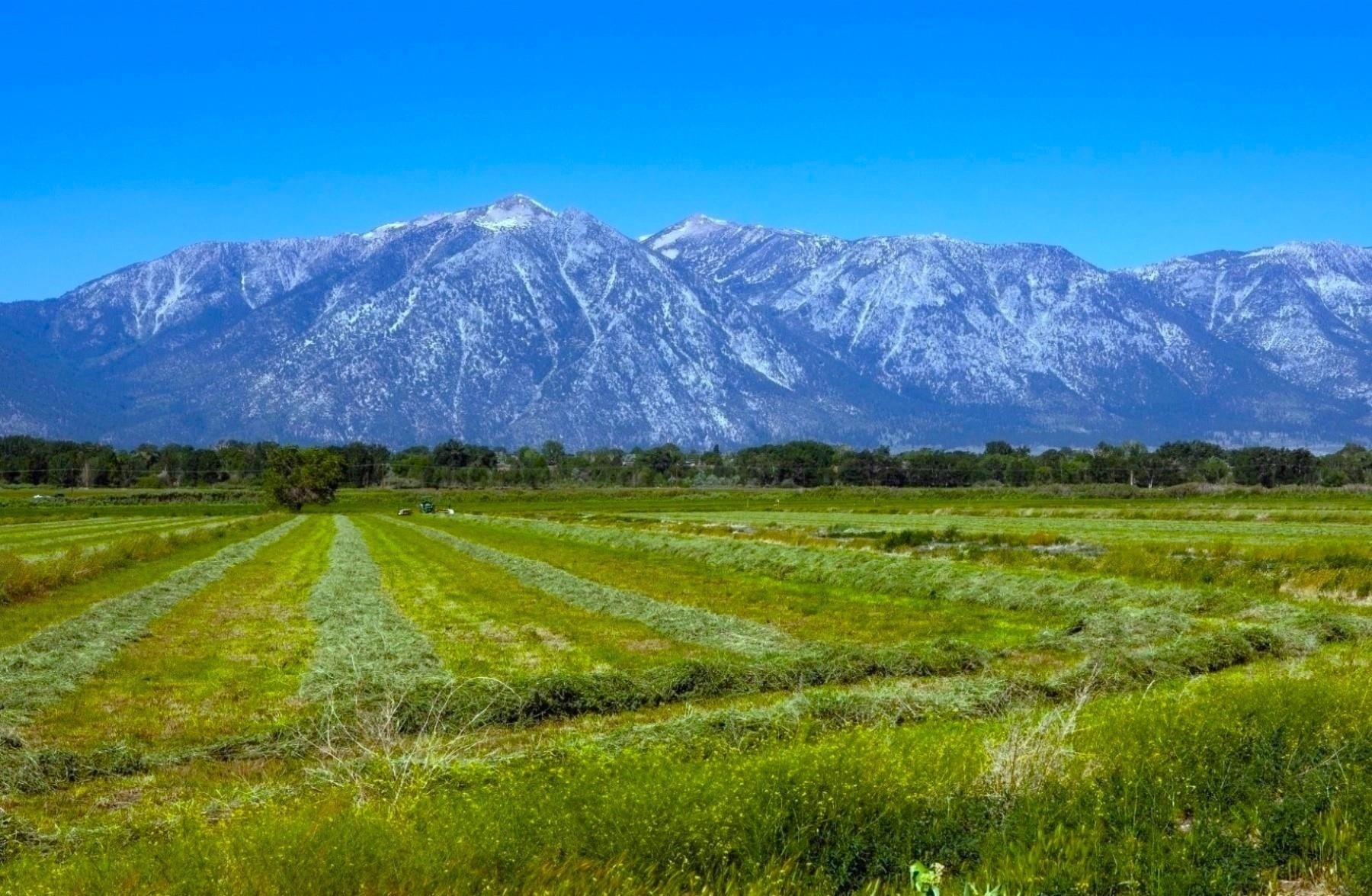 MLS #20240135 image #3