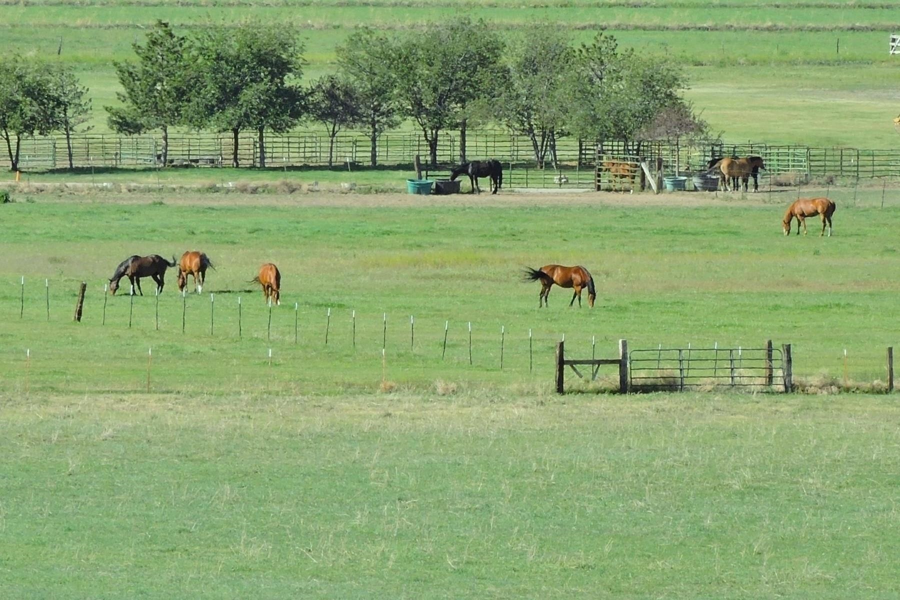 MLS #20240135 image #5