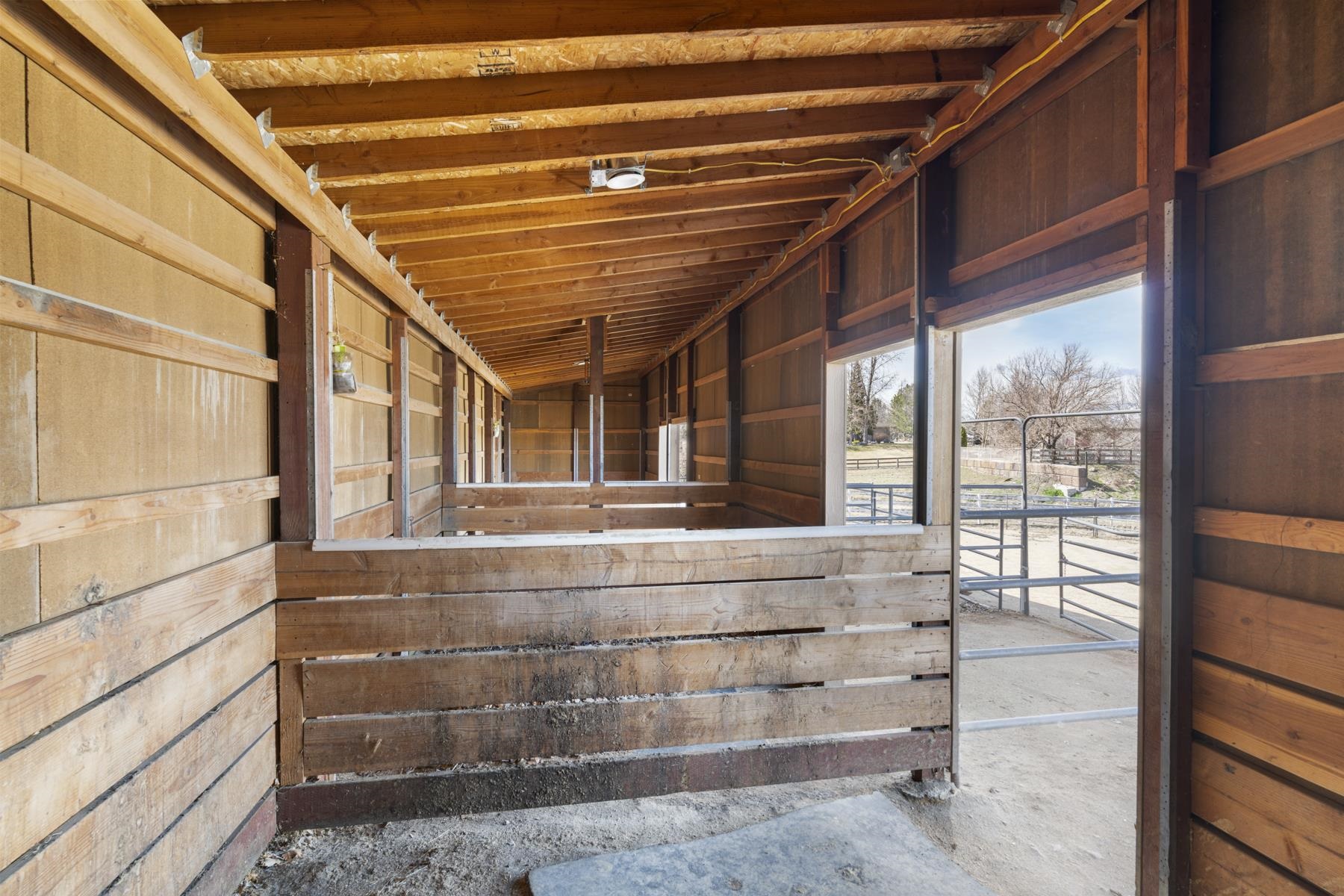 MLS #20240299 image #19