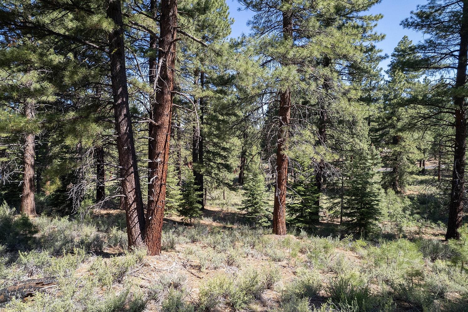 MLS #20240320 image #10