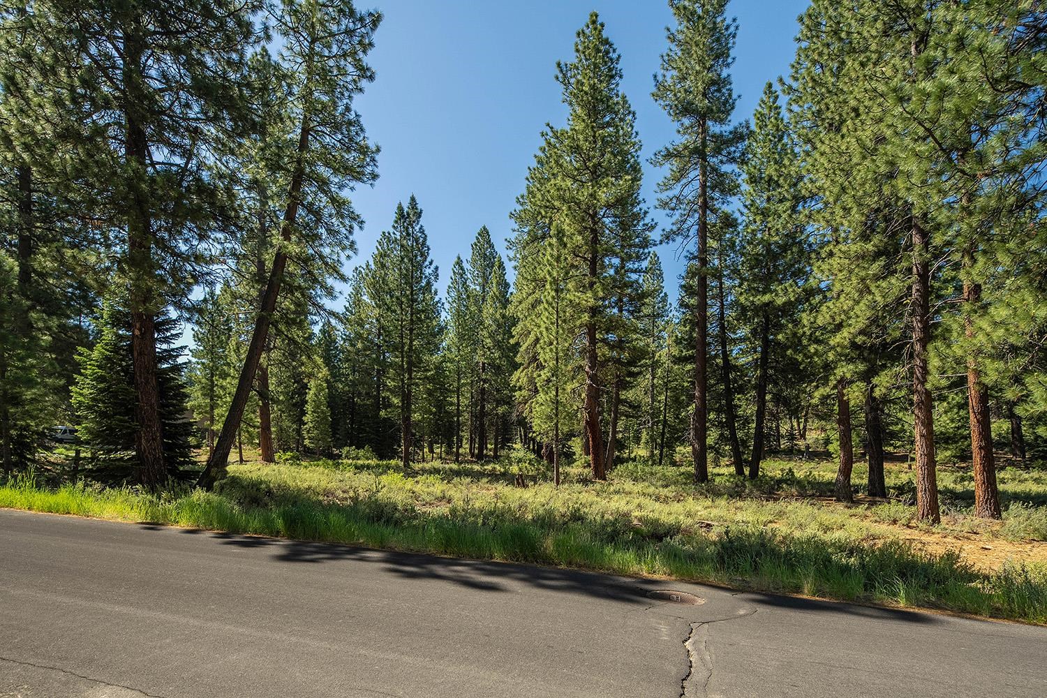 MLS #20240320 image #12