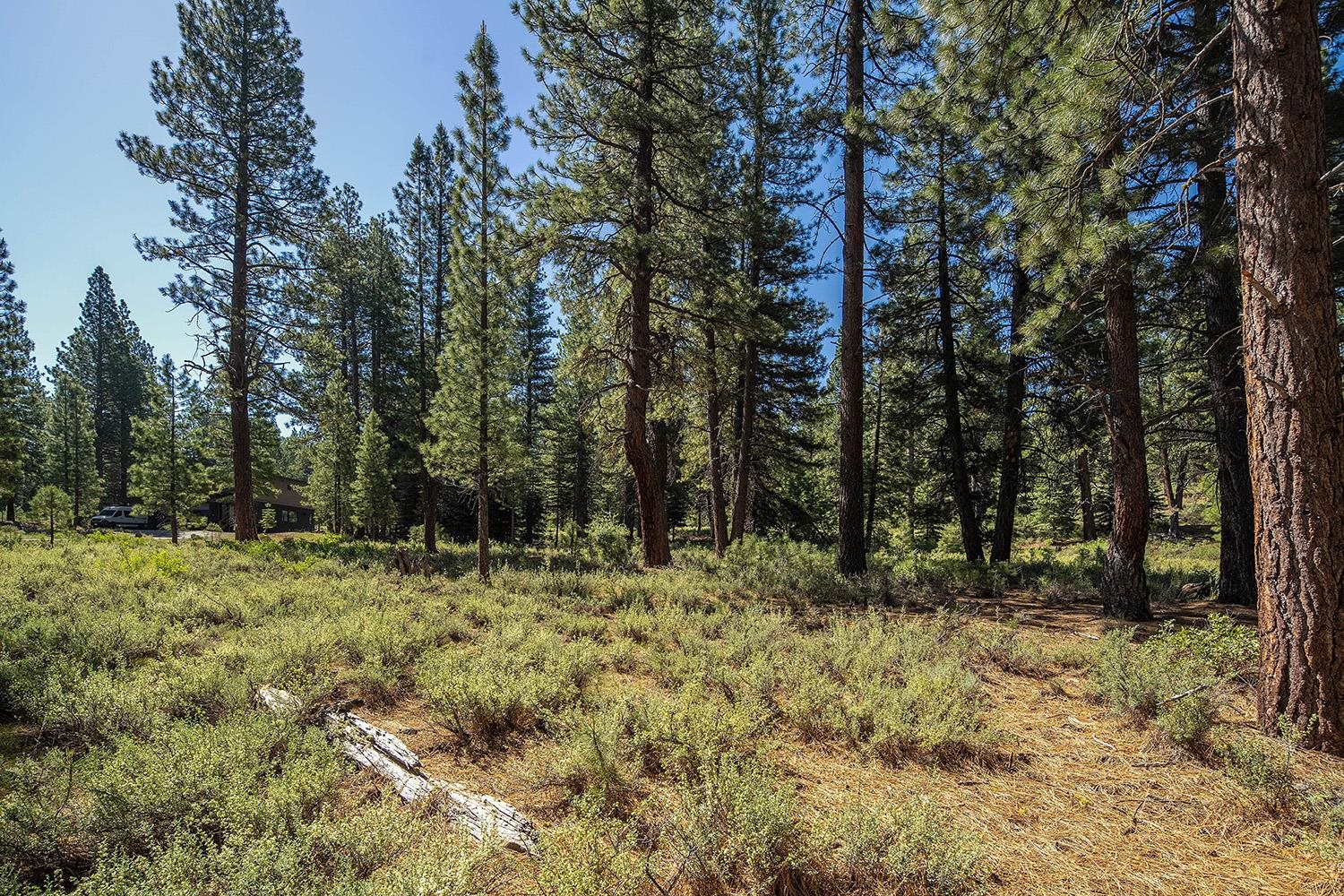 MLS #20240320 image #13