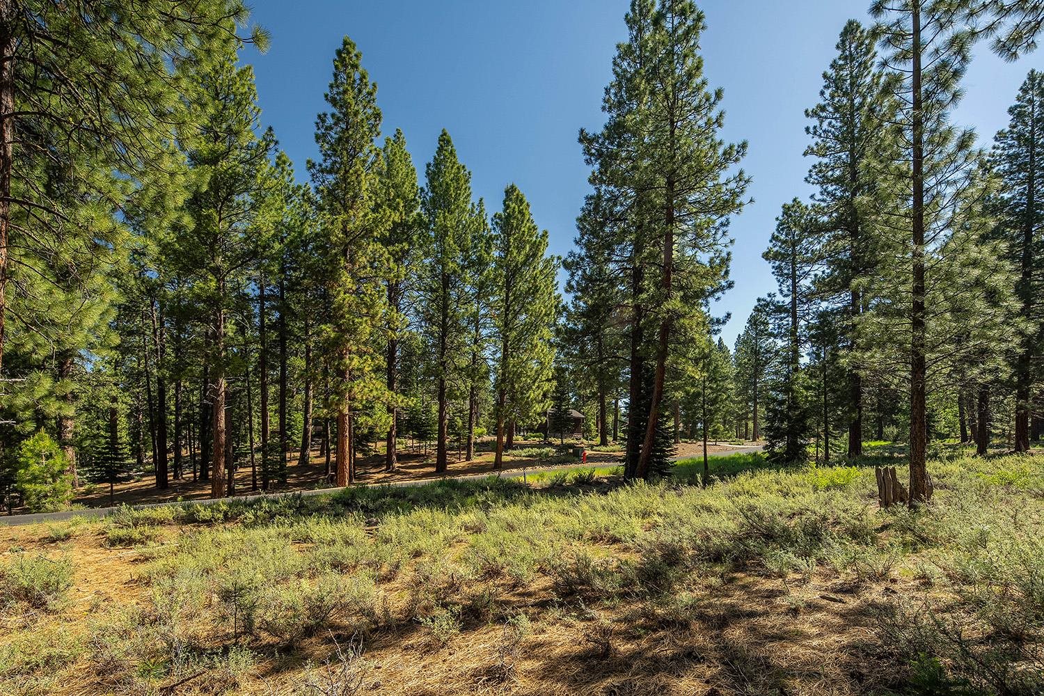 MLS #20240320 image #14