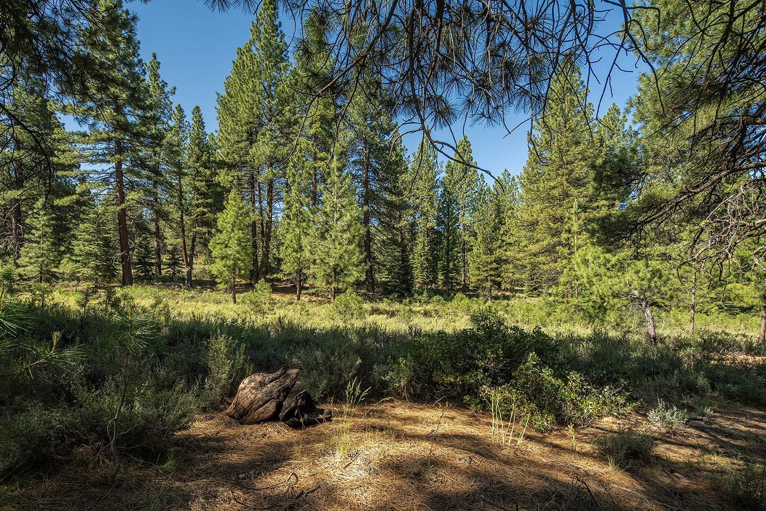 MLS #20240320 image #15