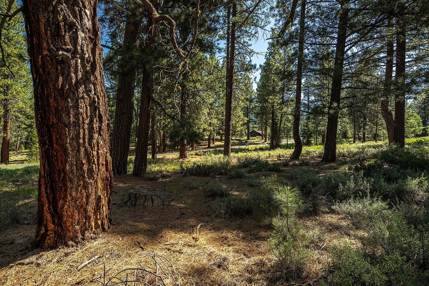 MLS #20240320 image #18