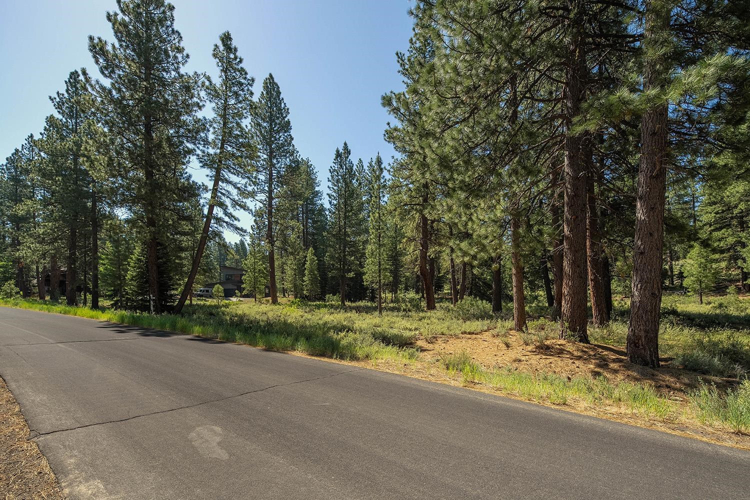 MLS #20240320 image #19