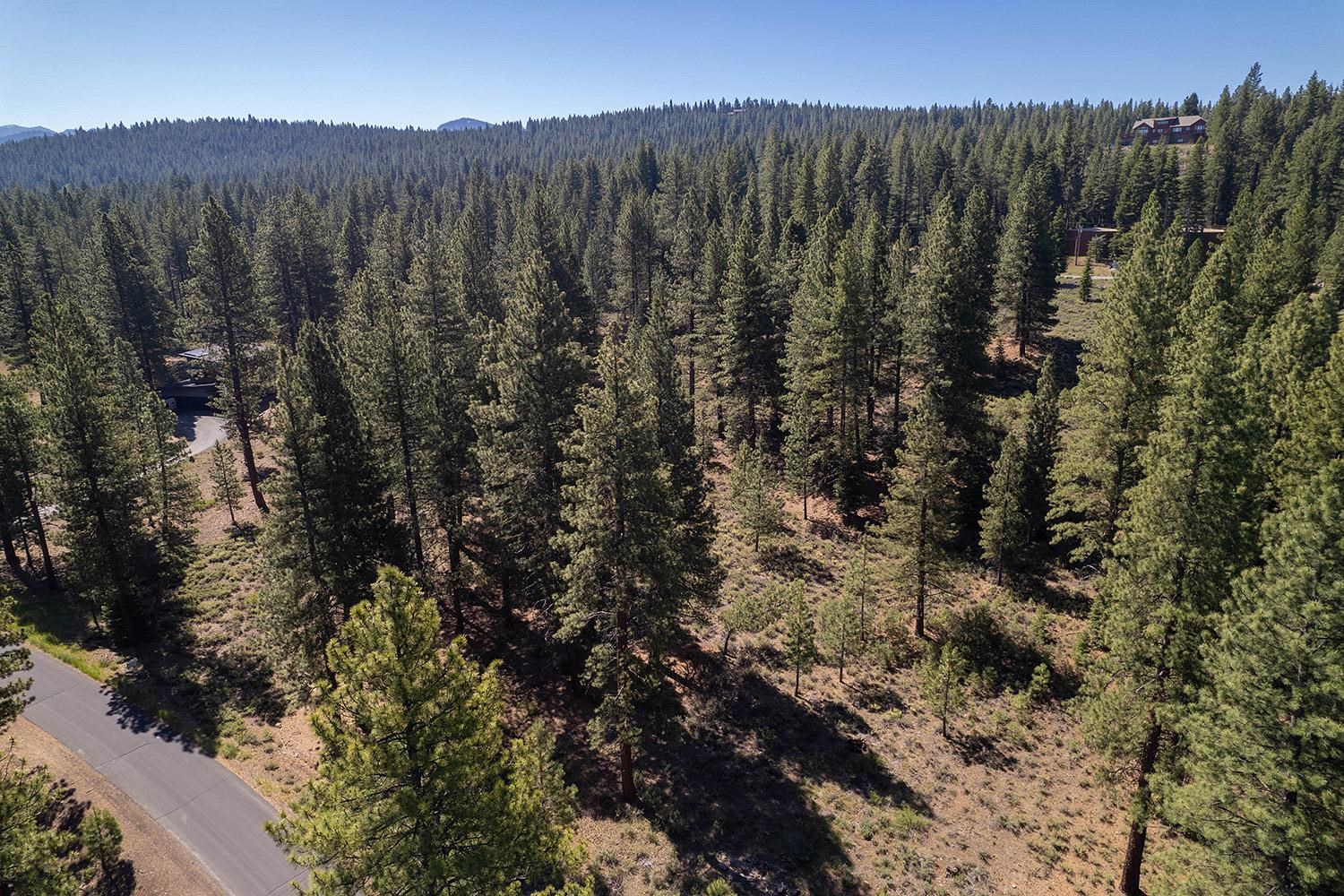 MLS #20240320 image #2