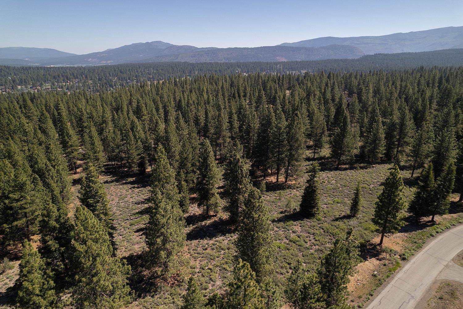 MLS #20240320 image #3