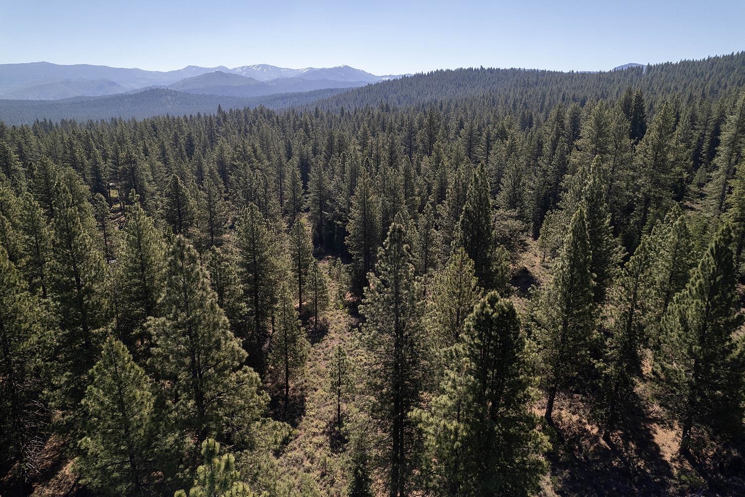 MLS #20240320 image #5