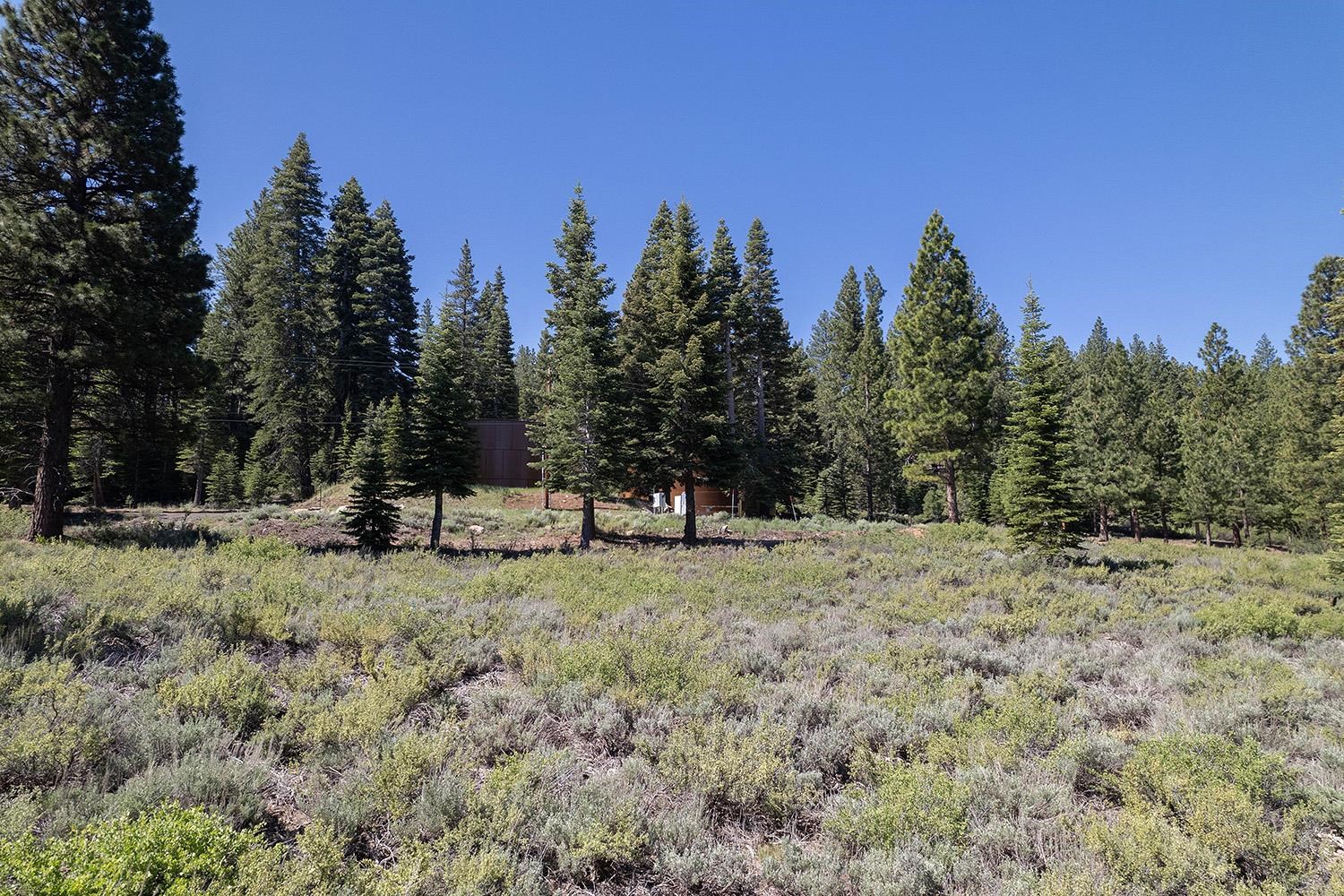 MLS #20240320 image #6