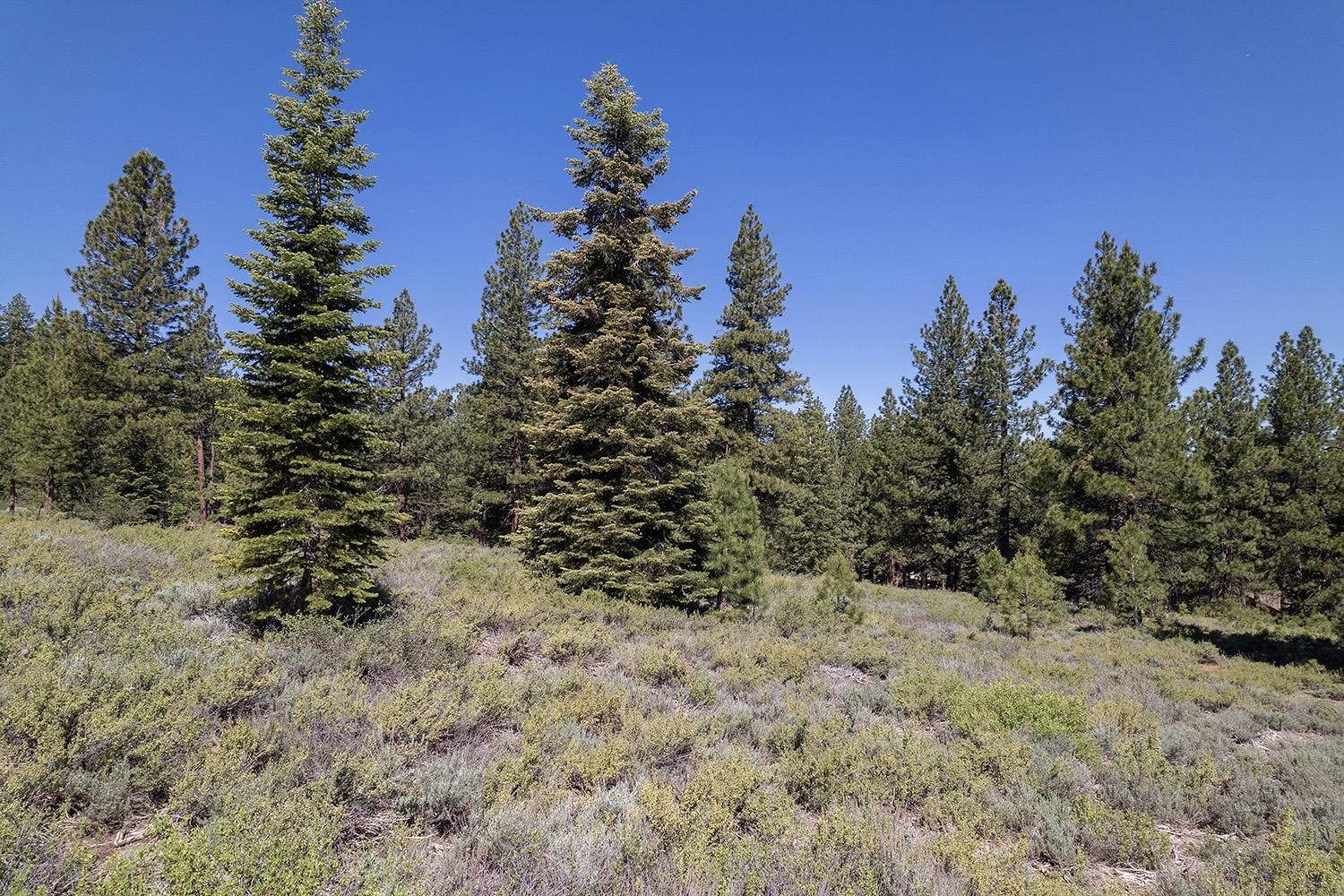 MLS #20240320 image #7