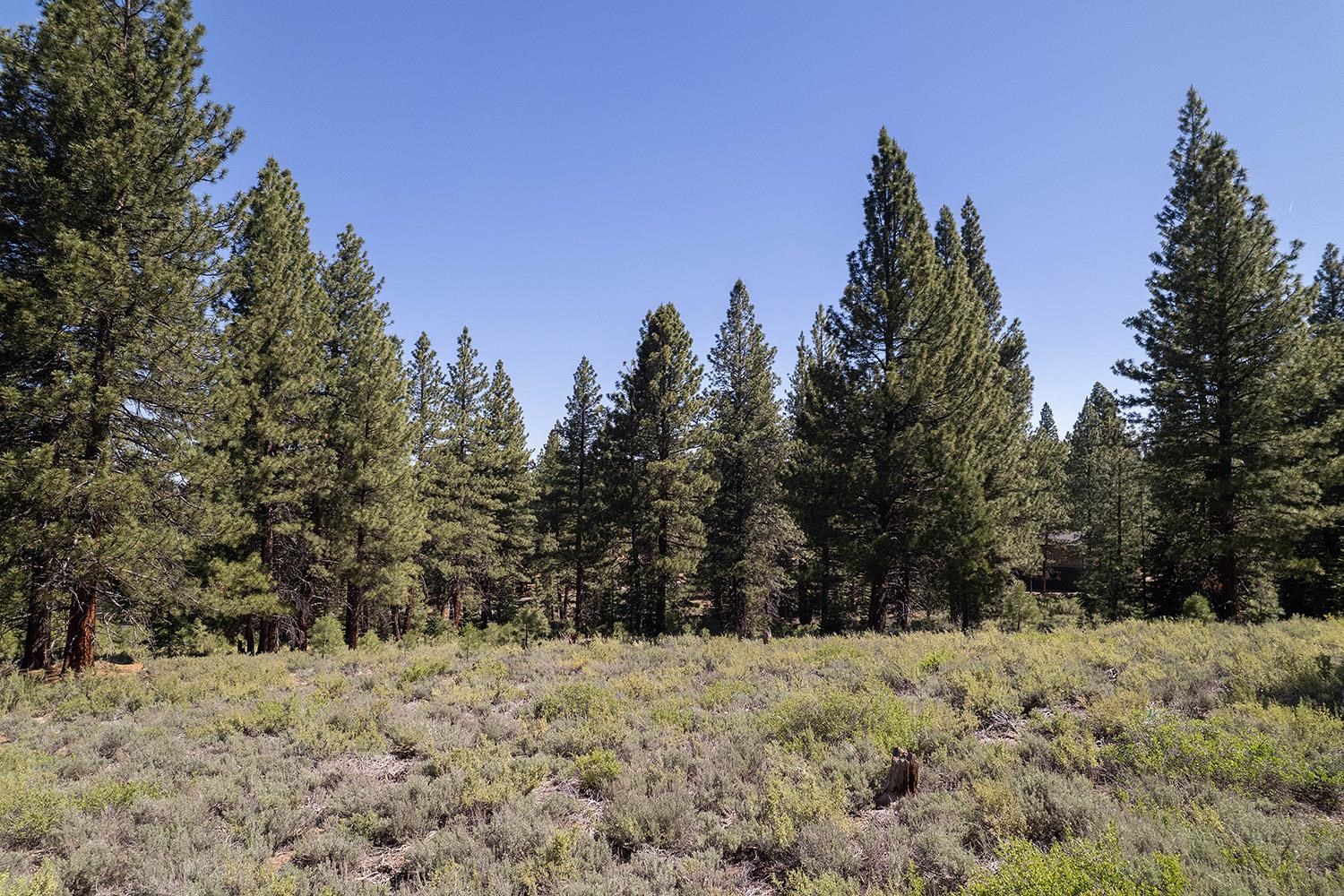 MLS #20240320 image #9